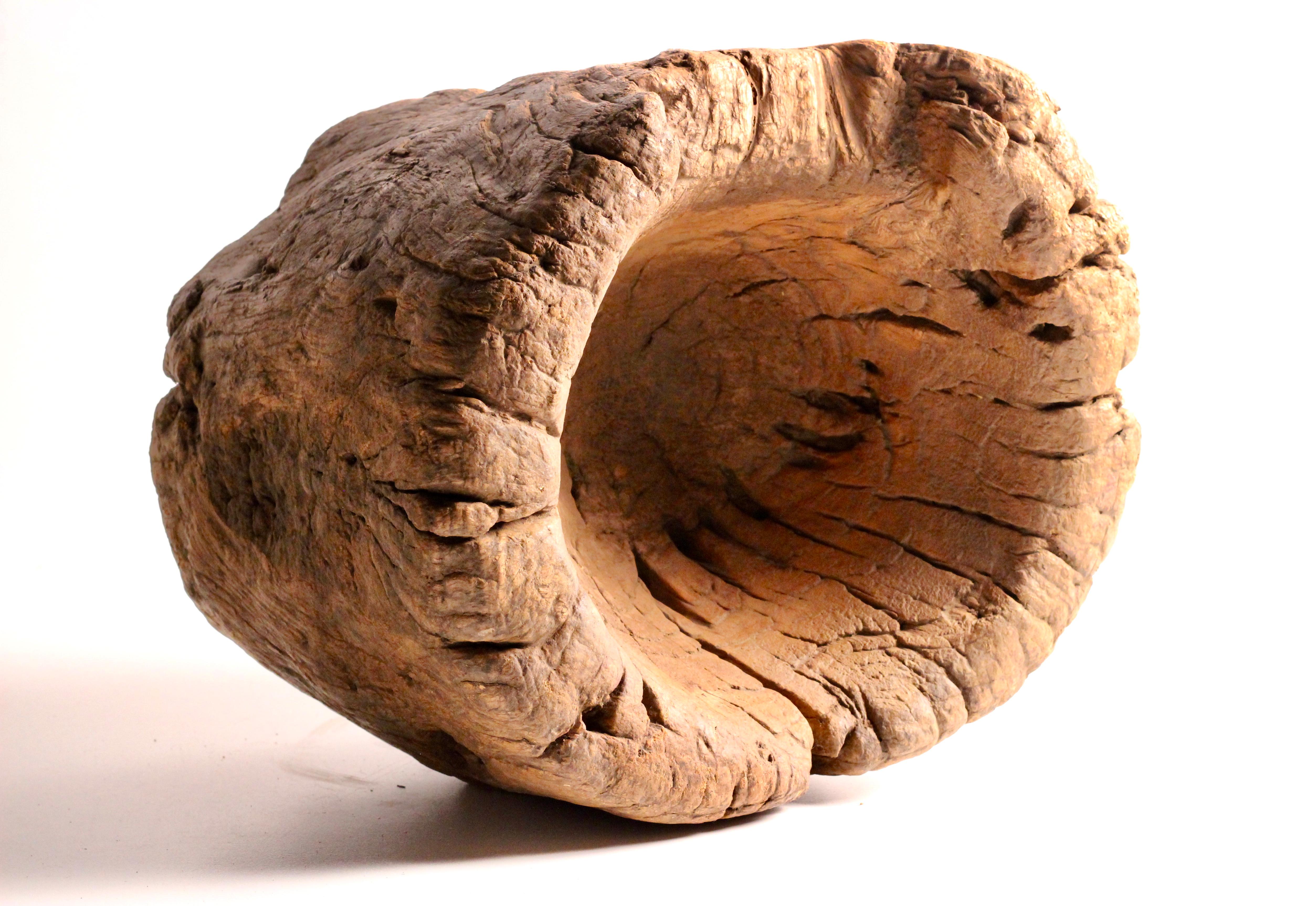 Rustic Elm Wooden Large Mortar Bowl Hand Carved from One Piece of Tree Trunk For Sale 3