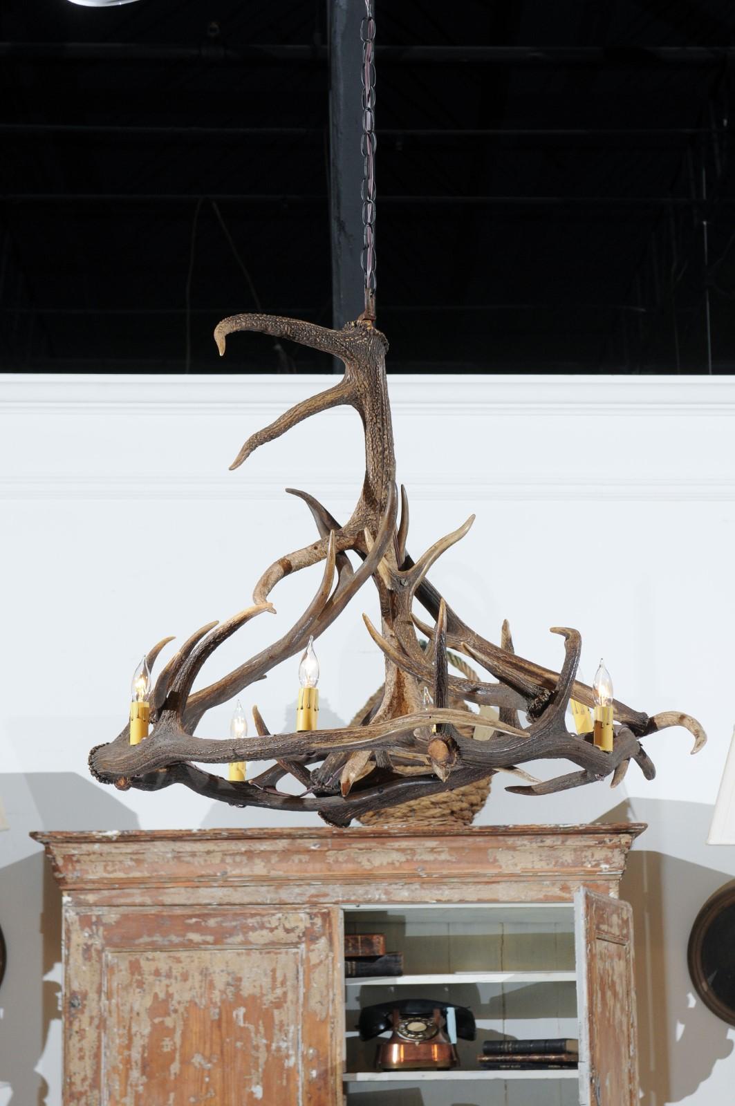 Rustic English 1960s Naturally Shed Fallow Deer Antler Six-Light Chandelier 6