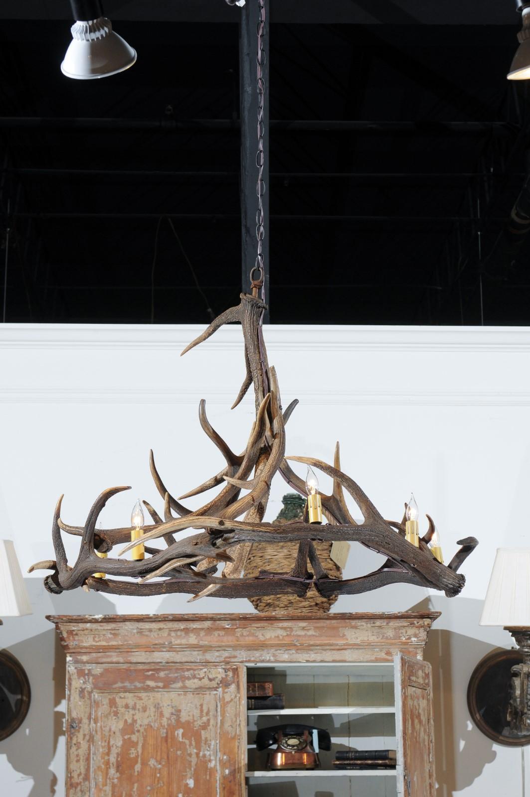 Rustic English 1960s Naturally Shed Fallow Deer Antler Six-Light Chandelier 7