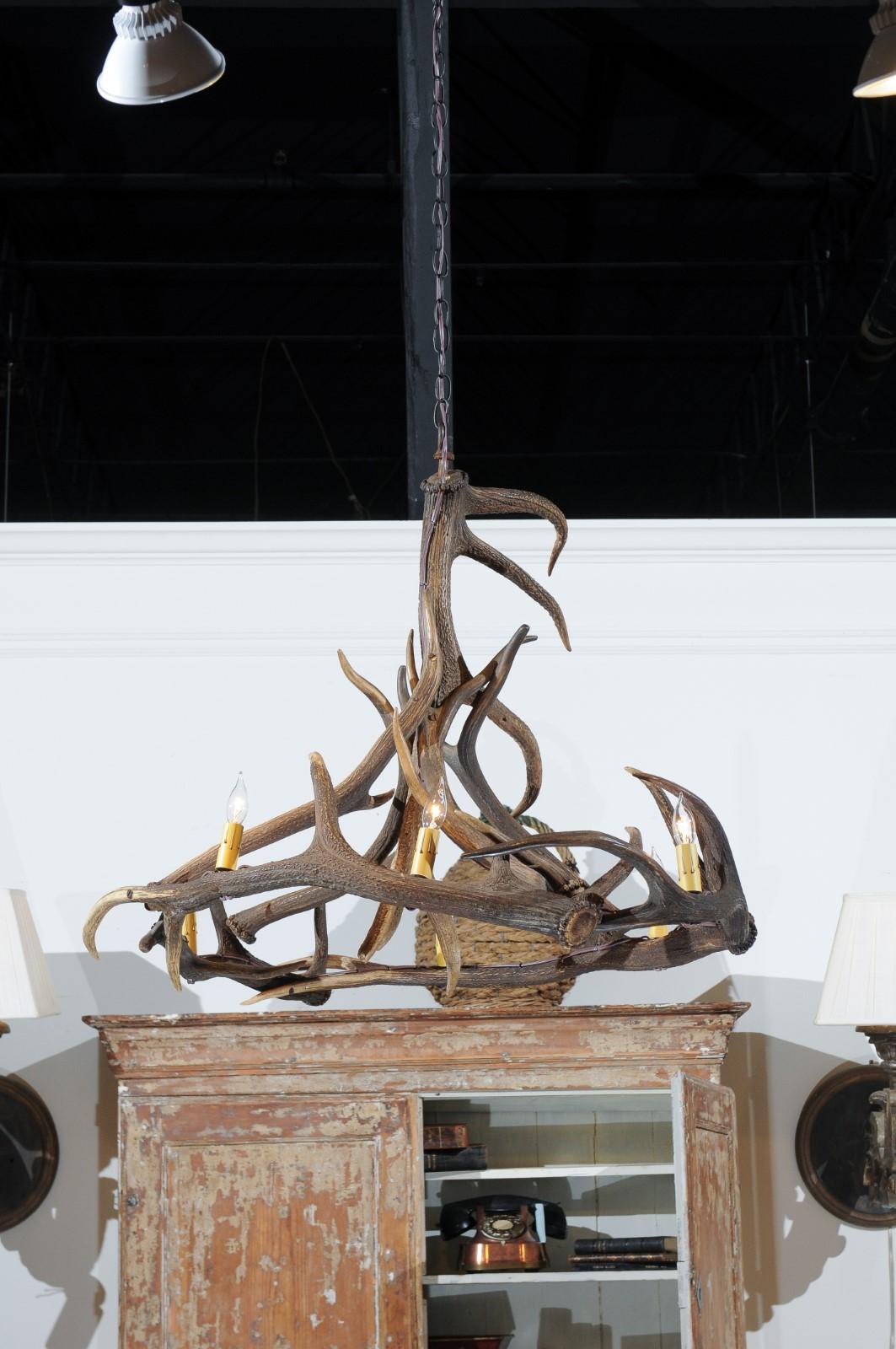 Rustic English 1960s Naturally Shed Fallow Deer Antler Six-Light Chandelier 8