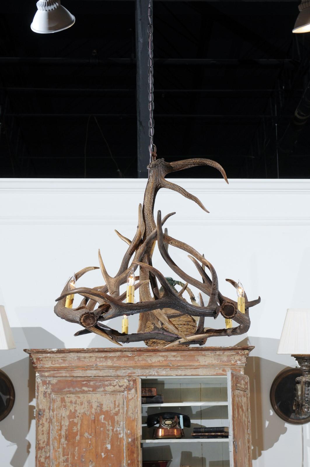 Rustic English 1960s Naturally Shed Fallow Deer Antler Six-Light Chandelier 9