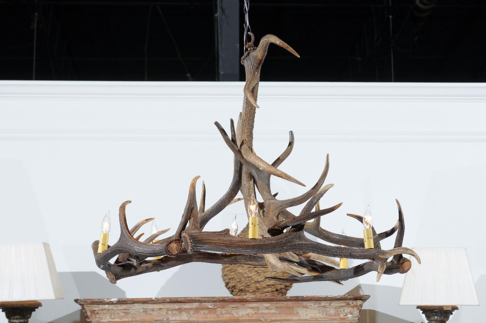 A rustic six-light English fallow deer naturally shed antler chandelier, from the mid-20th century. Born in England during the 1960s, this chandelier features a striking silhouette made from naturally shed fallow deer antlers supporting candle