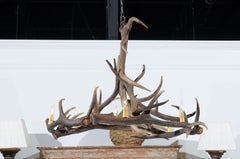 Rustic English 1960s Naturally Shed Fallow Deer Antler Six-Light Chandelier