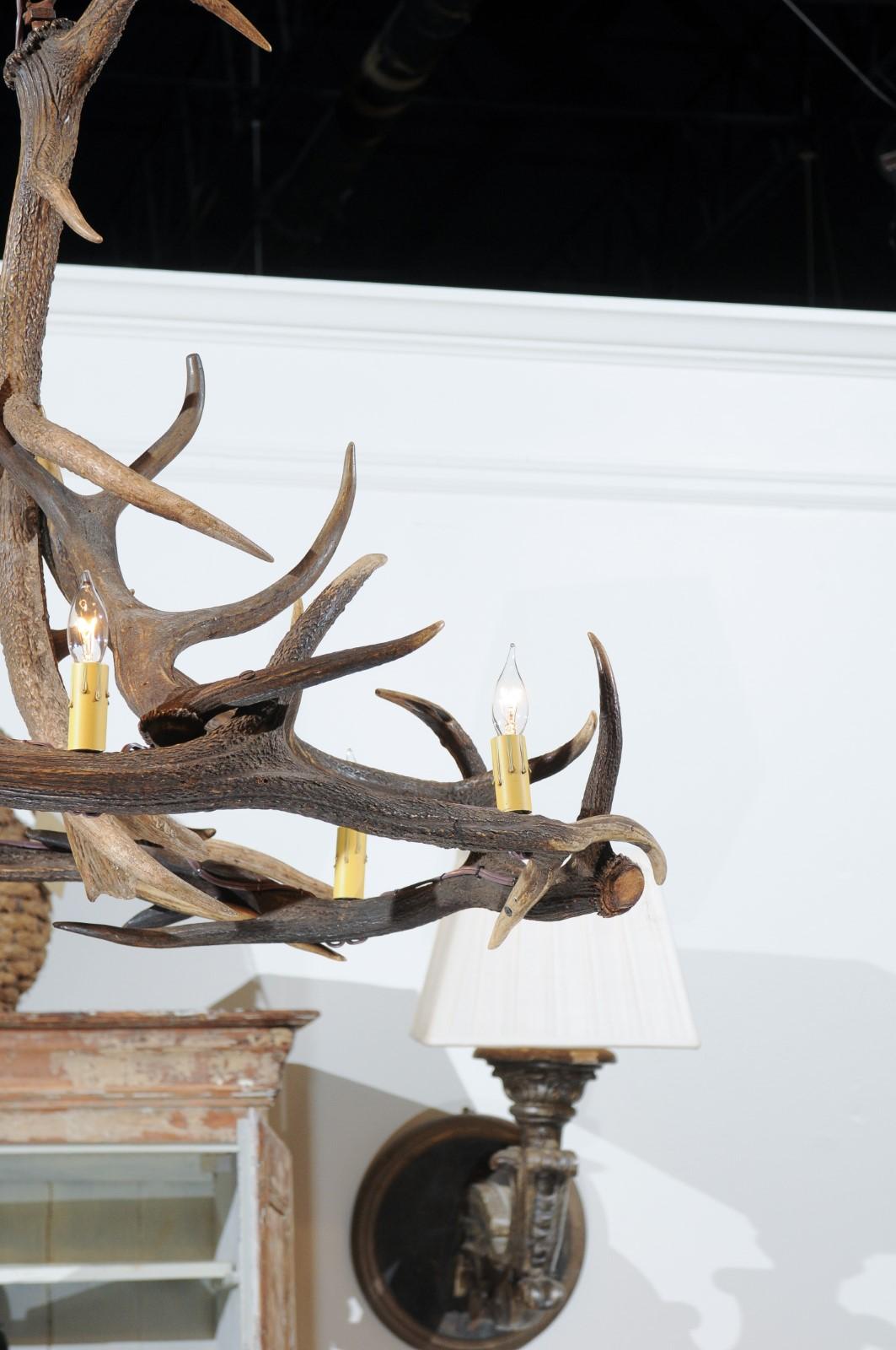 20th Century Rustic English 1960s Naturally Shed Fallow Deer Antler Six-Light Chandelier
