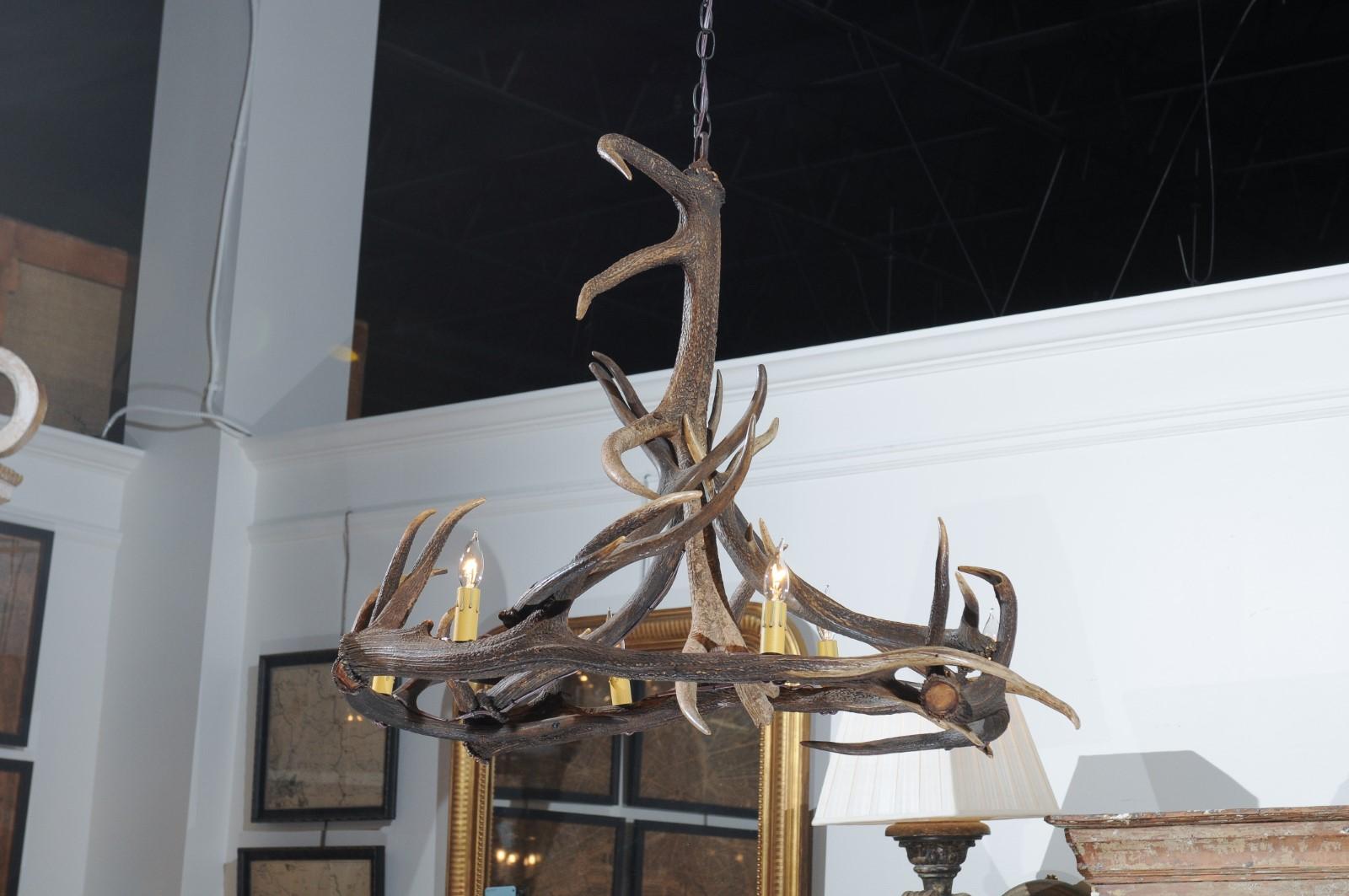 Rustic English 1960s Naturally Shed Fallow Deer Antler Six-Light Chandelier 3