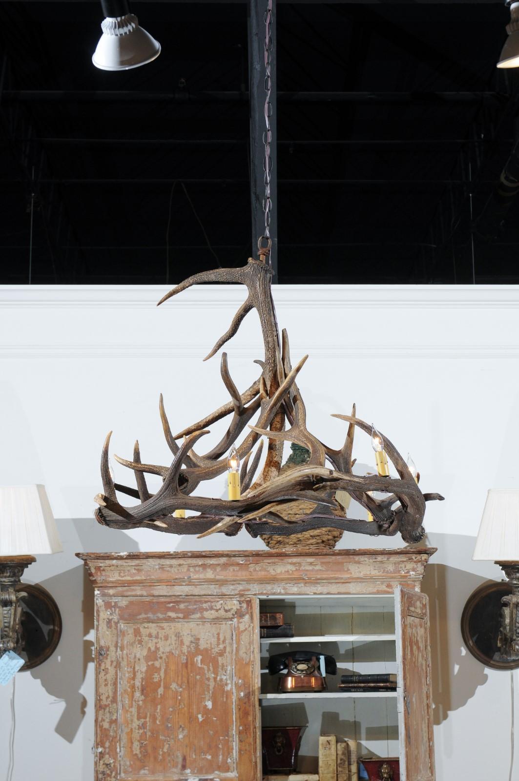 Rustic English 1960s Naturally Shed Fallow Deer Antler Six-Light Chandelier 4