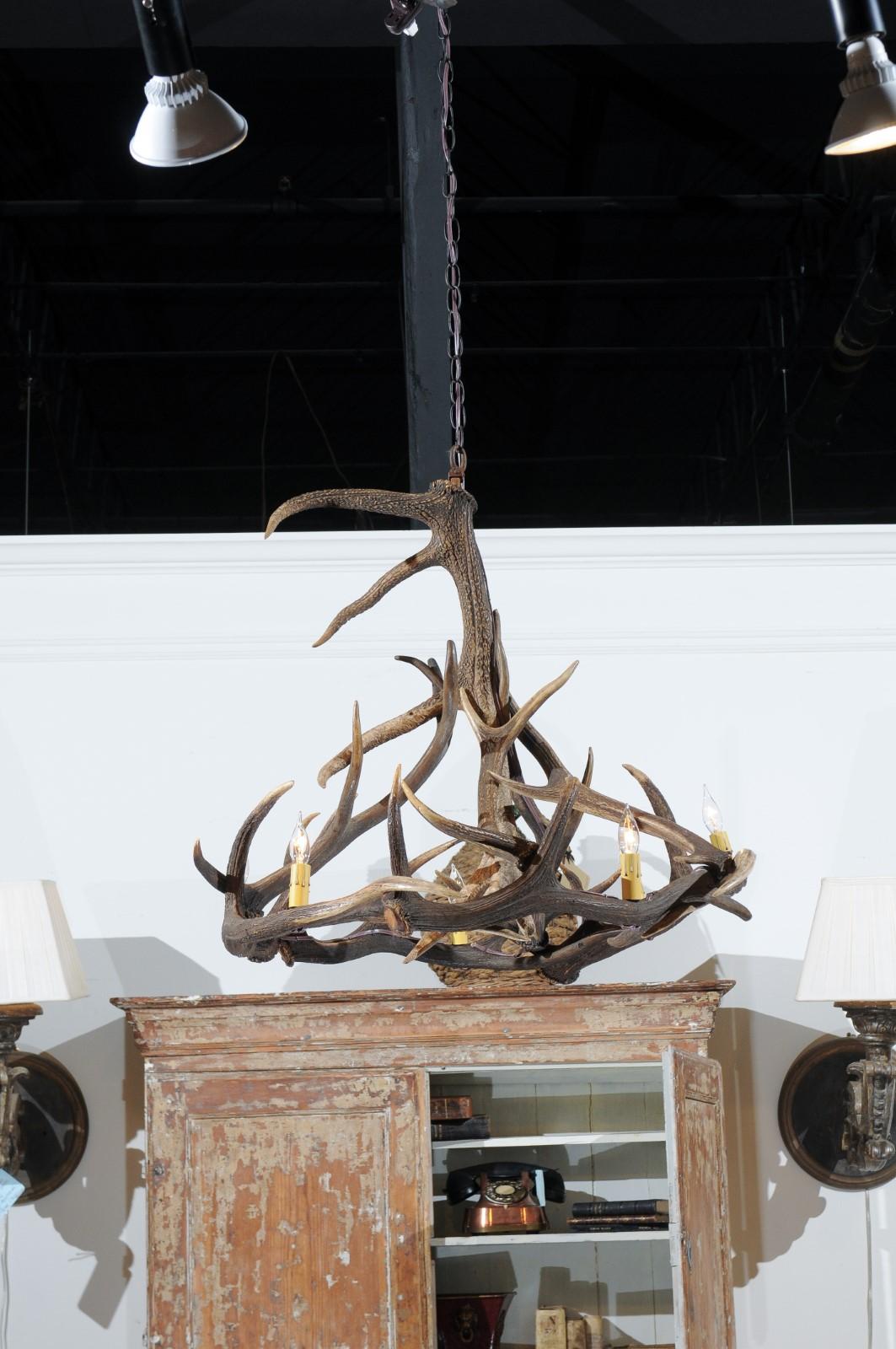 Rustic English 1960s Naturally Shed Fallow Deer Antler Six-Light Chandelier 5