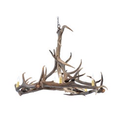 Rustic English 1960s Naturally Shed Fallow Deer Antler Six-Light Chandelier