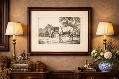 Rustic Farm Horse Study, English Animal Etching by Robert Hills, 1801