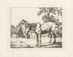 Rustic Farm Horse Study, English Animal Etching by Robert Hills, 1801
