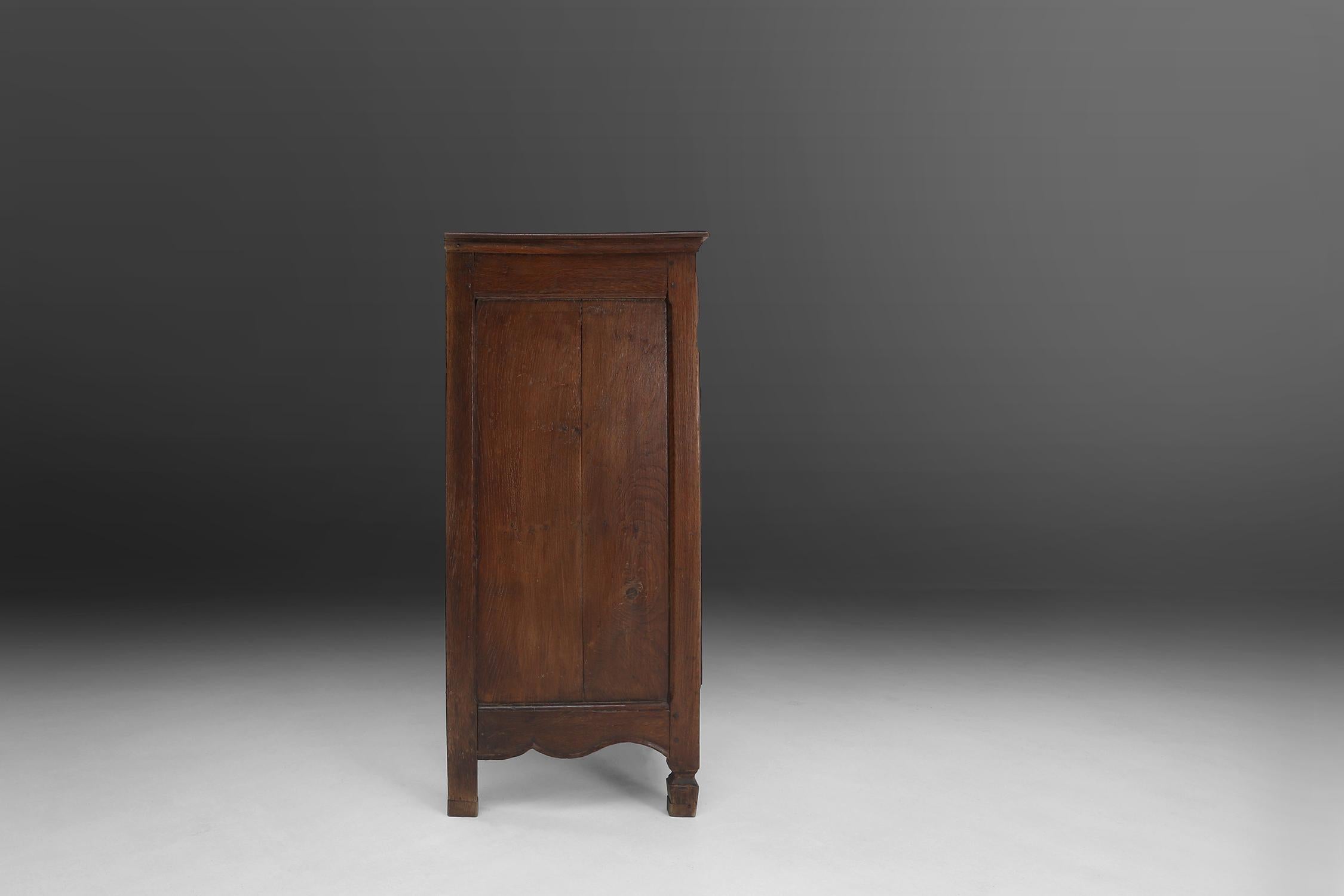 Rustic Flemish Cabinet Ca.1850 For Sale 9