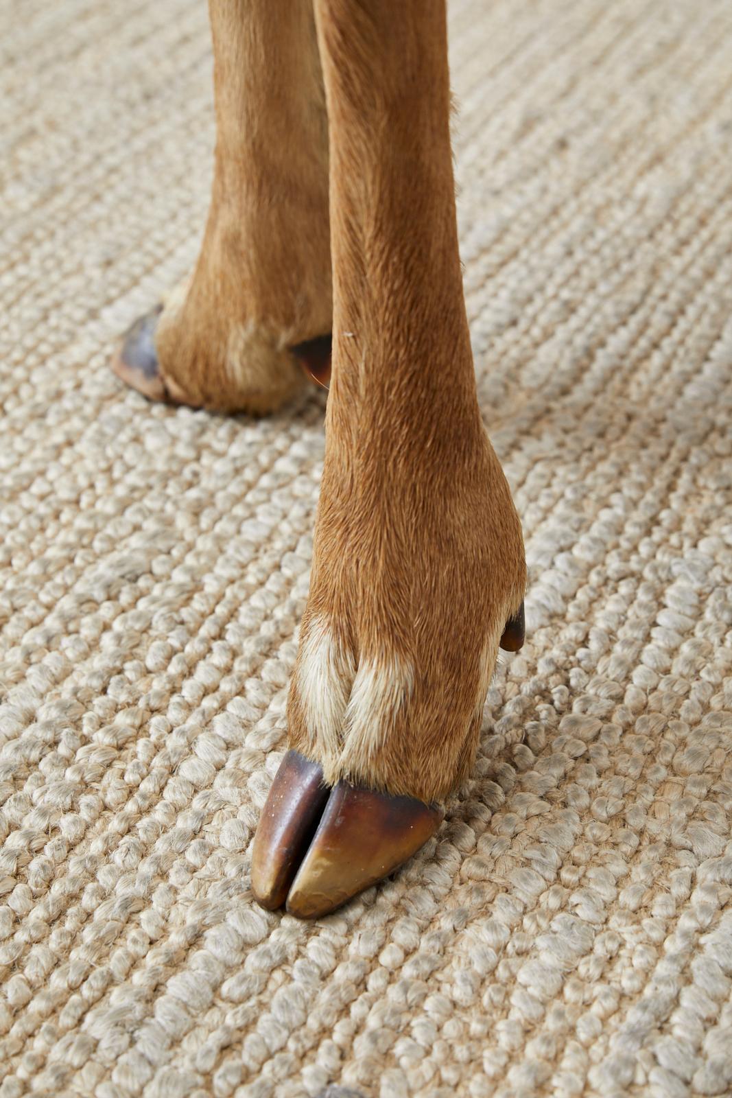 20th Century Rustic French Taxidermy Deer Leg Stool or Drinks Table