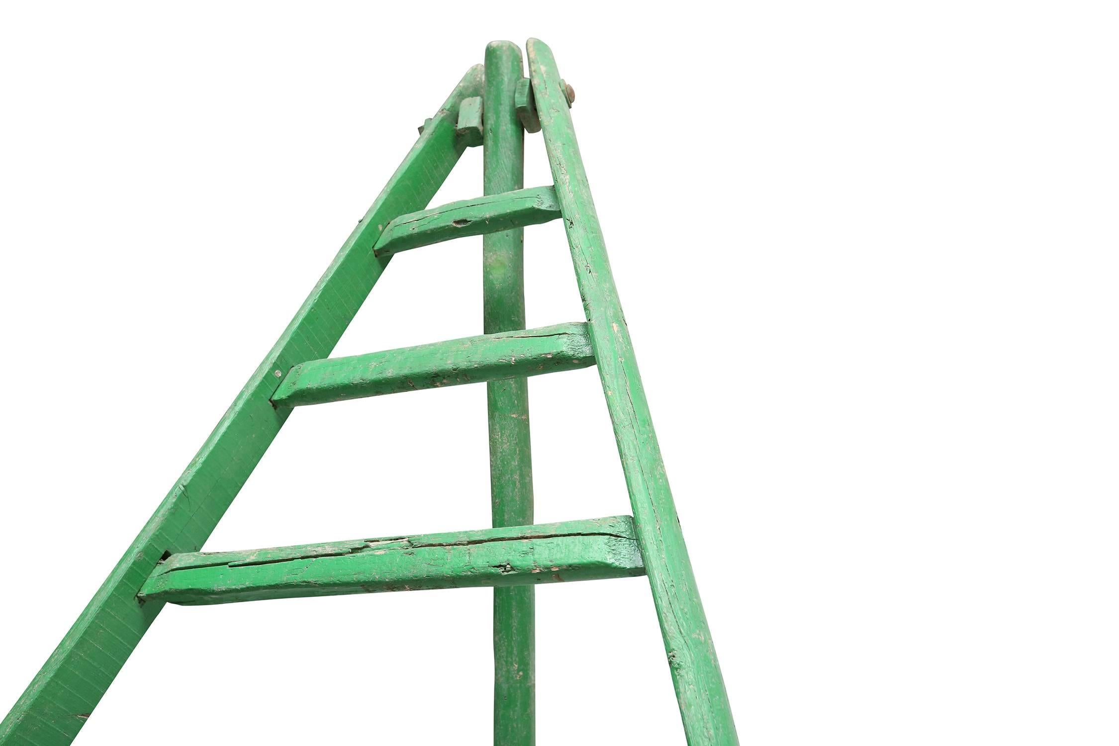 Other Rustic Green Fruit Picking Ladder