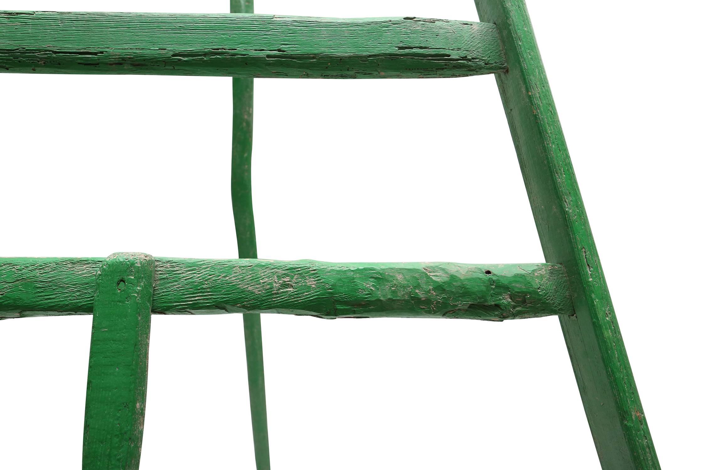 French Rustic Green Fruit Picking Ladder