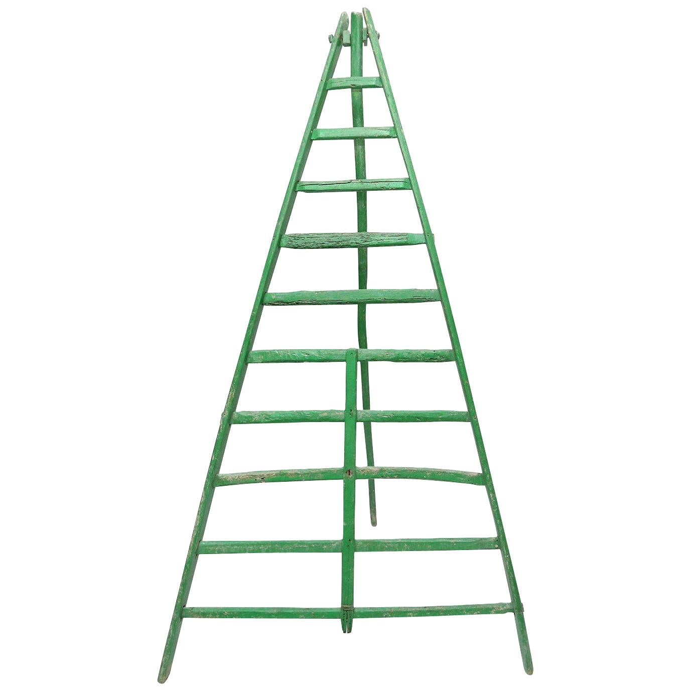 Rustic Green Fruit Picking Ladder