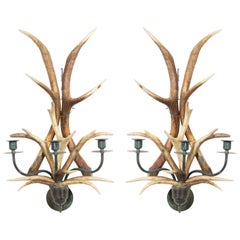 Rustic Horn and Brass Wall Sconces