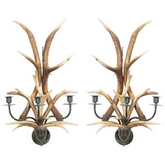 Rustic Horn and Brass Wall Sconces