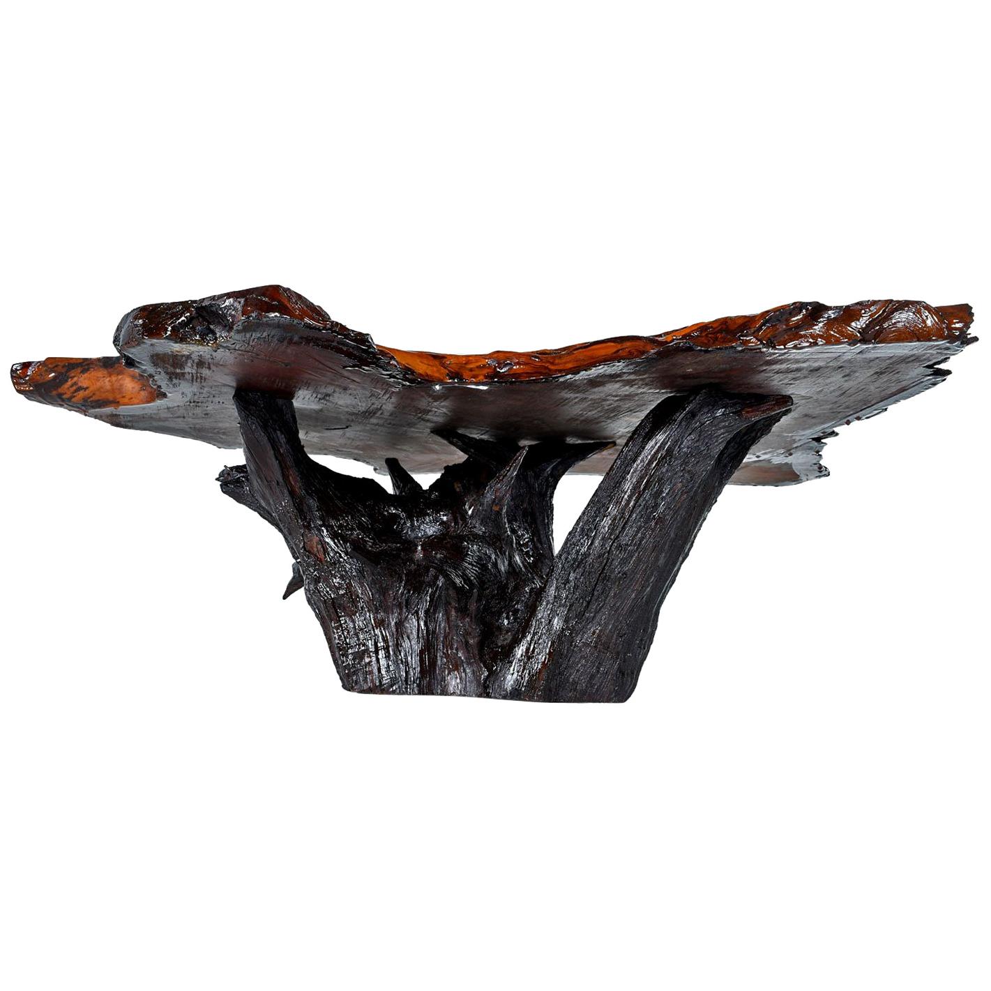 Spectacular vintage live edge cross section slab coffee table. The table has been restored with a newly poured scratch free resin surface. The naturally formed cavities have smoothed over like glass. The edges are raw, unaltered by man. The rugged,