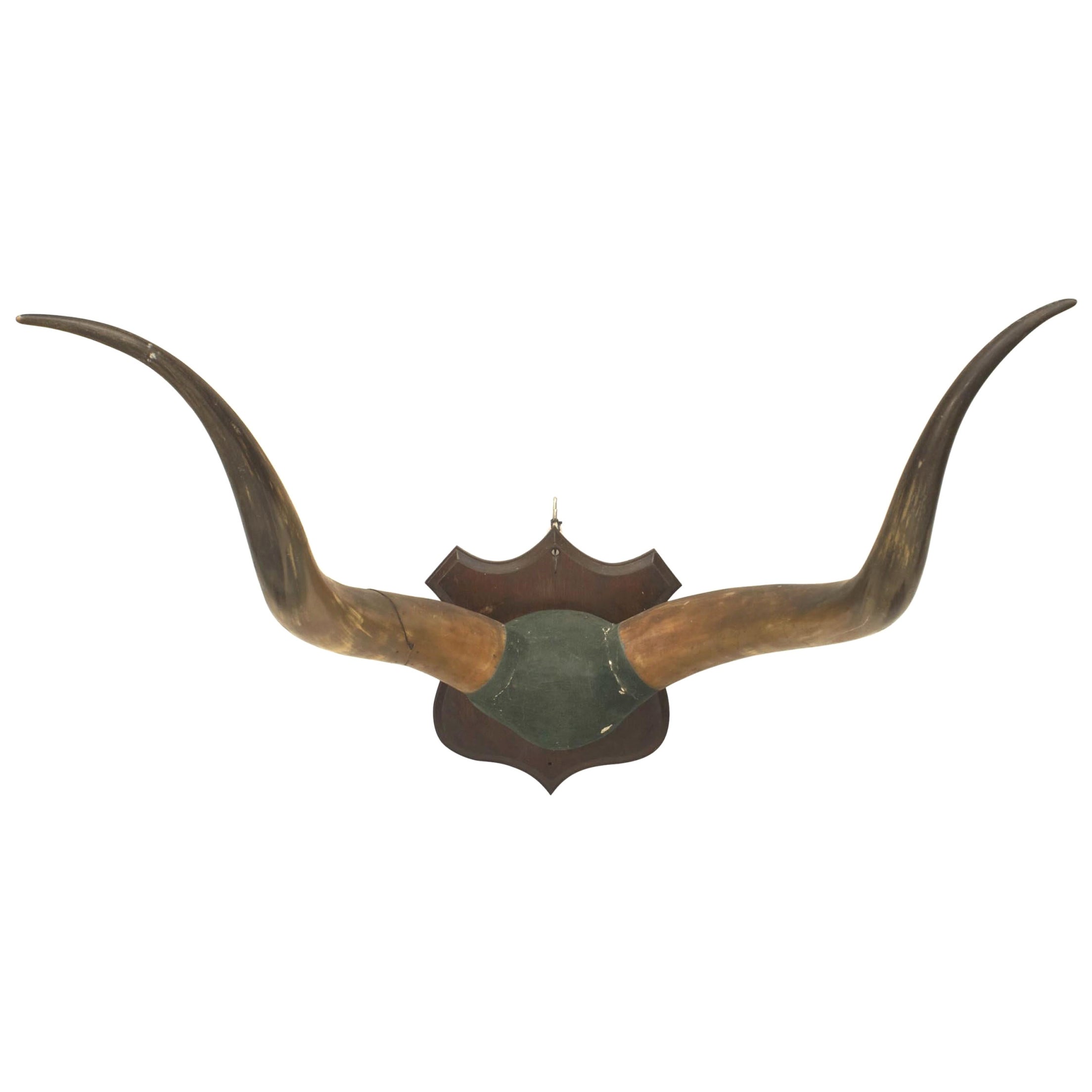 Plaque murale Rustic Long Horn