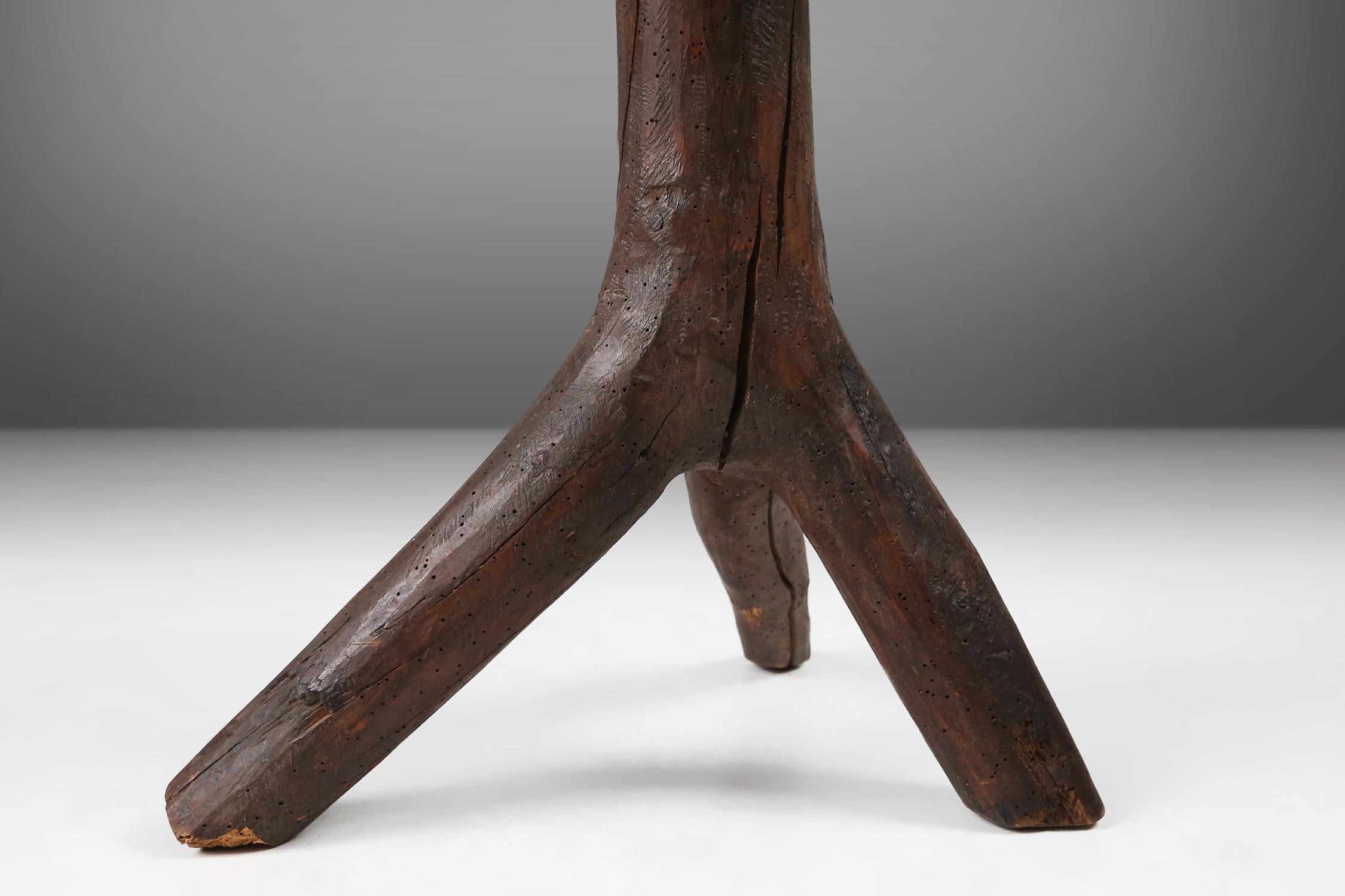 Rustic mid-century wooden stool with legs made of a tree branch, France, 1850 For Sale 1