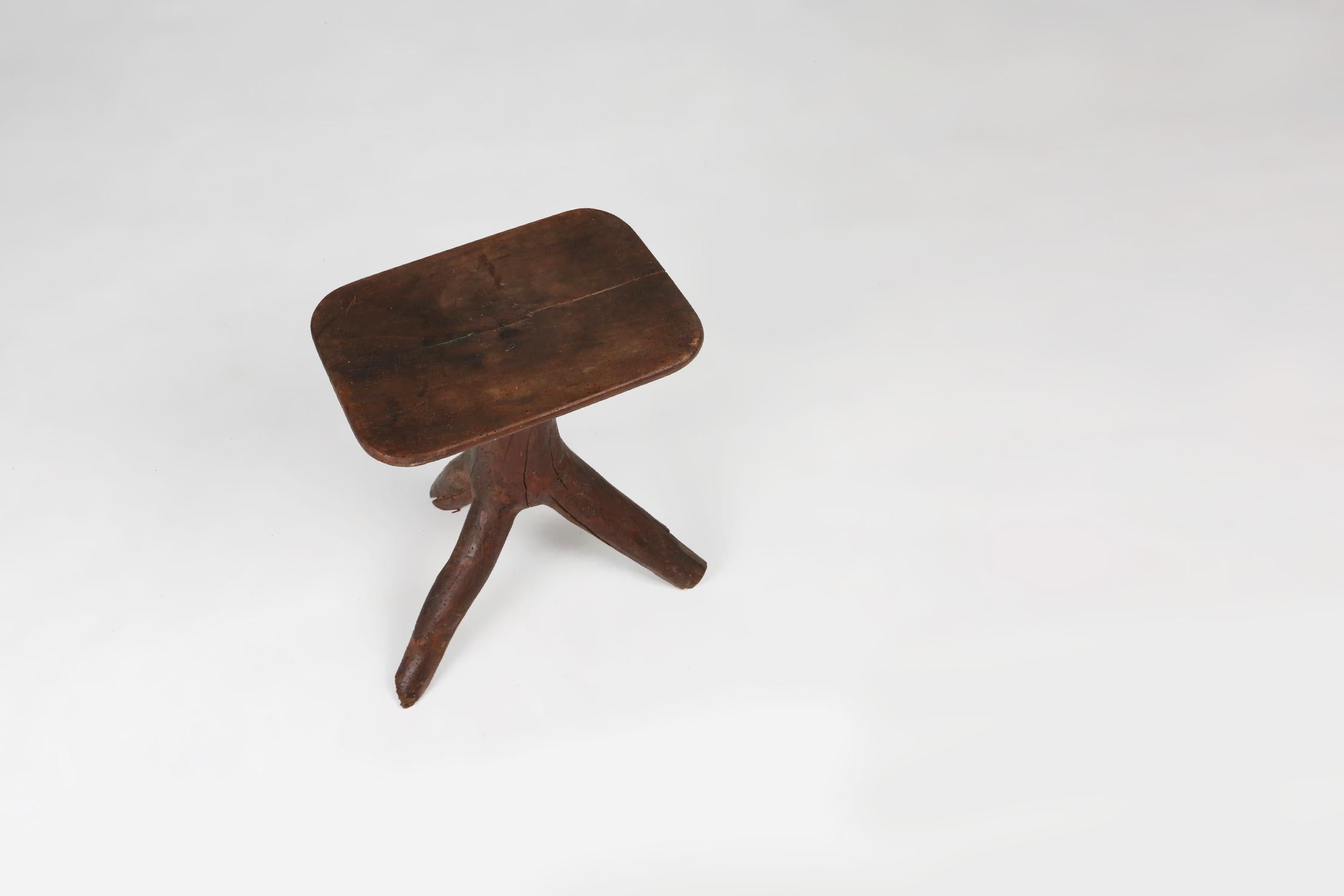 Rustic mid-century wooden stool with legs made of a tree branch, France, 1850 For Sale 2