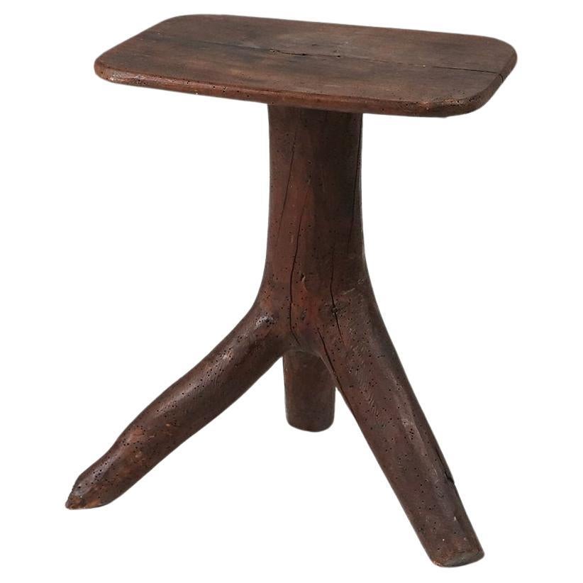 Rustic mid-century wooden stool with legs made of a tree branch, France 1850