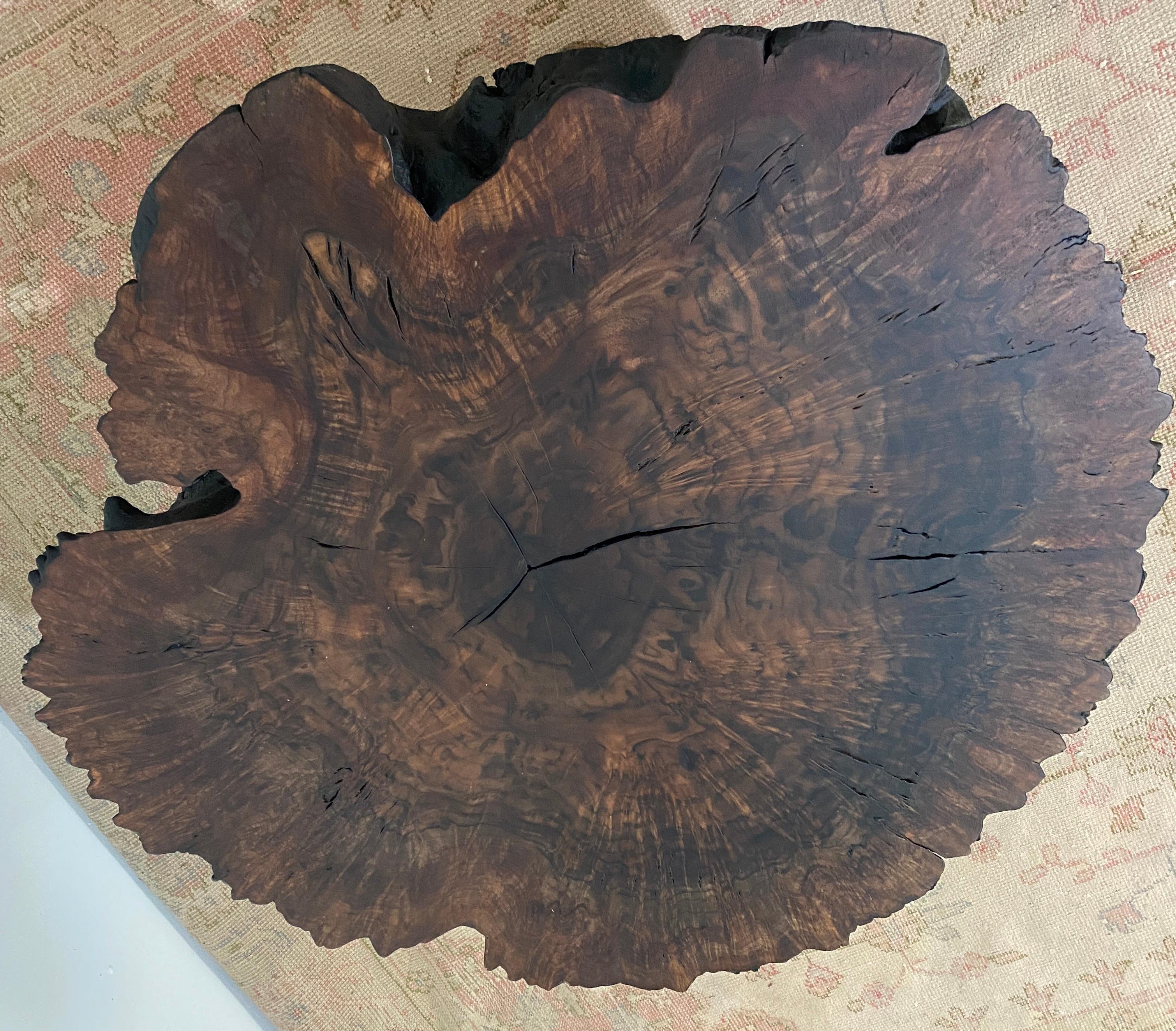These one of a kind indiginous rugged primeval burl tables are of veritable vitality due to their
naturalistic form. We retained the bark sub-strata which gives the table it's rough texture. The
shell has been finished with a special lacquer over