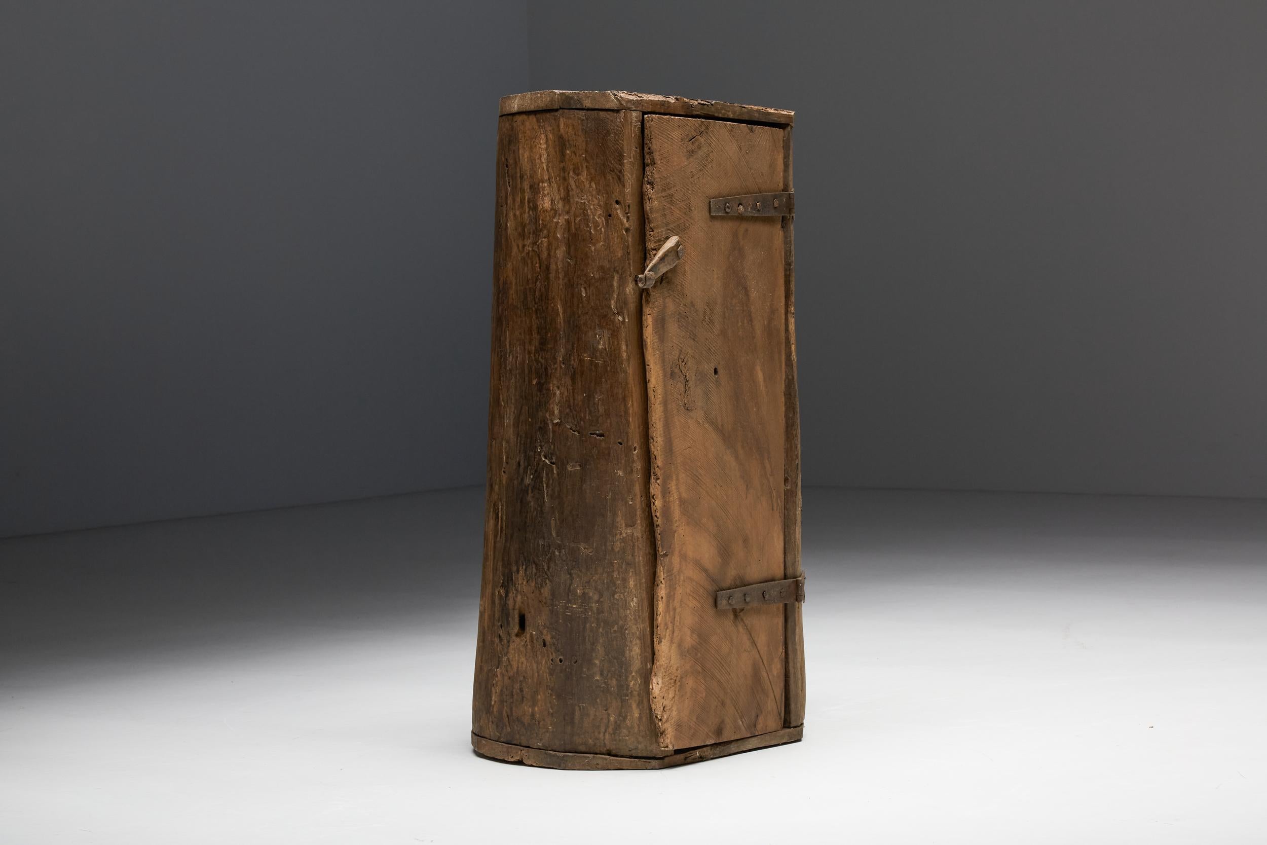 French Rustic Monoxylite Cabinet, Ardèche, 19th Century For Sale