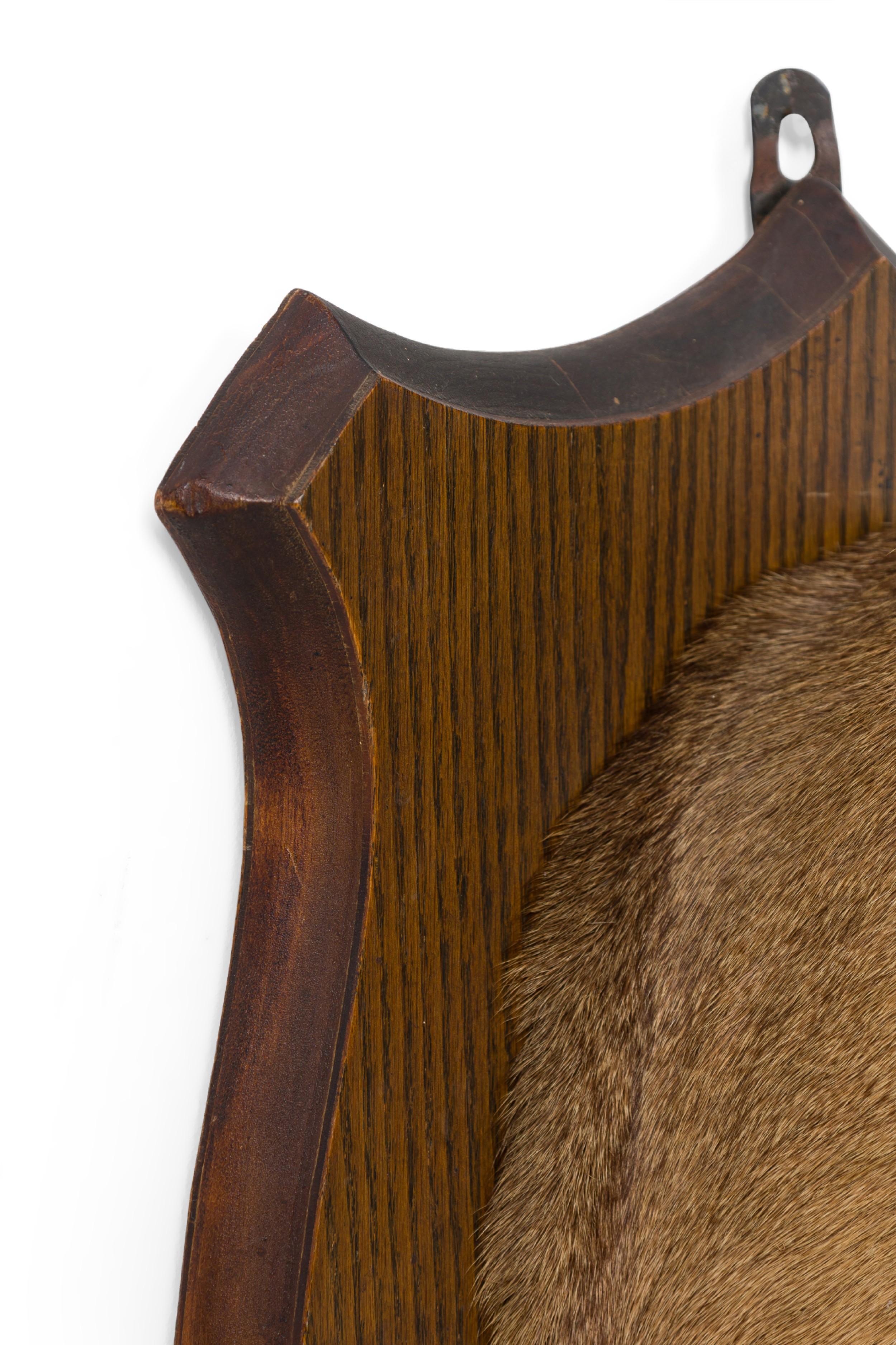 American Rustic Mounted Deer Head Taxidermy For Sale