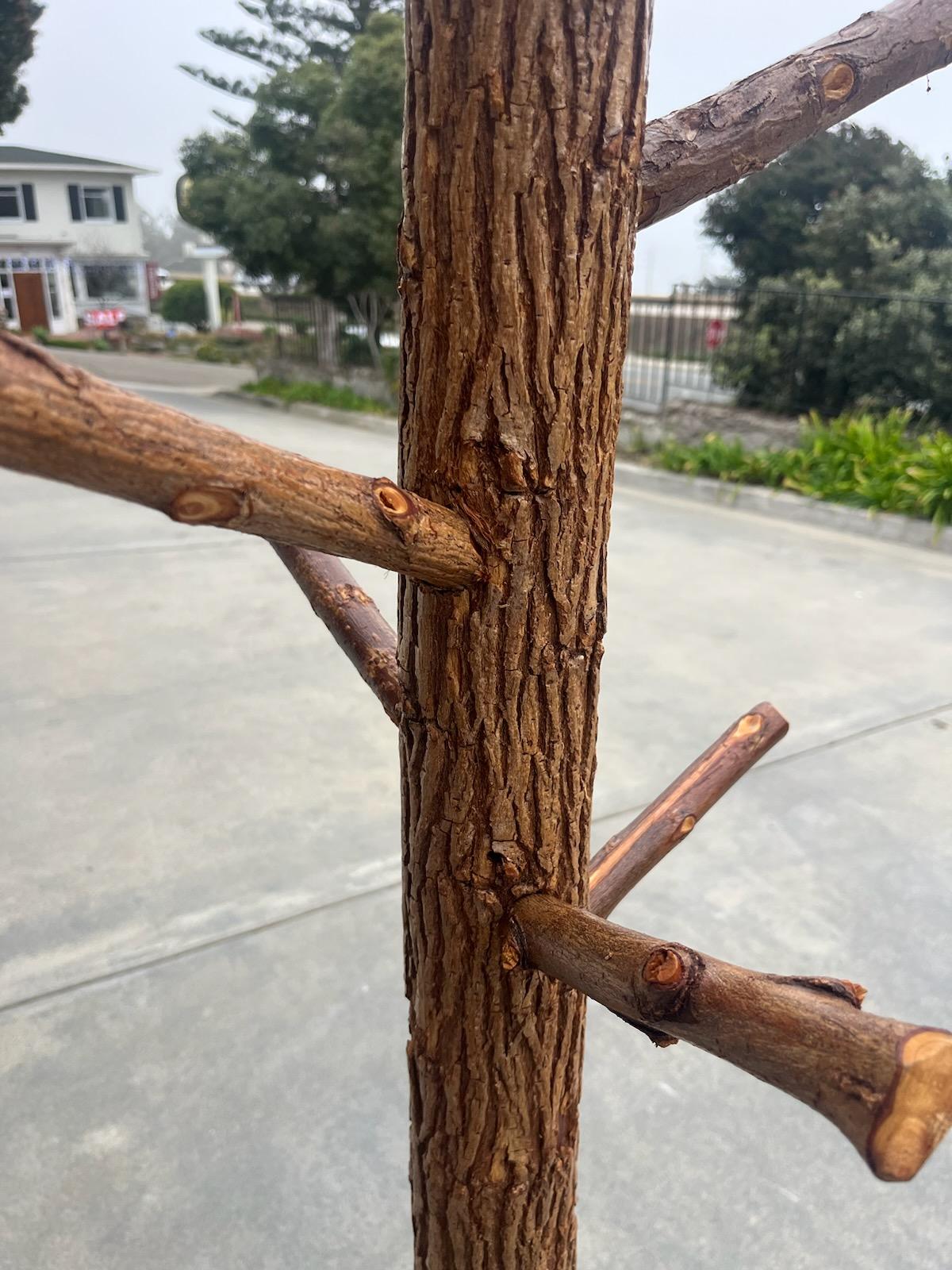 Rustic Old Hickory Hat & Coat Tree In Good Condition For Sale In Los Angeles, CA