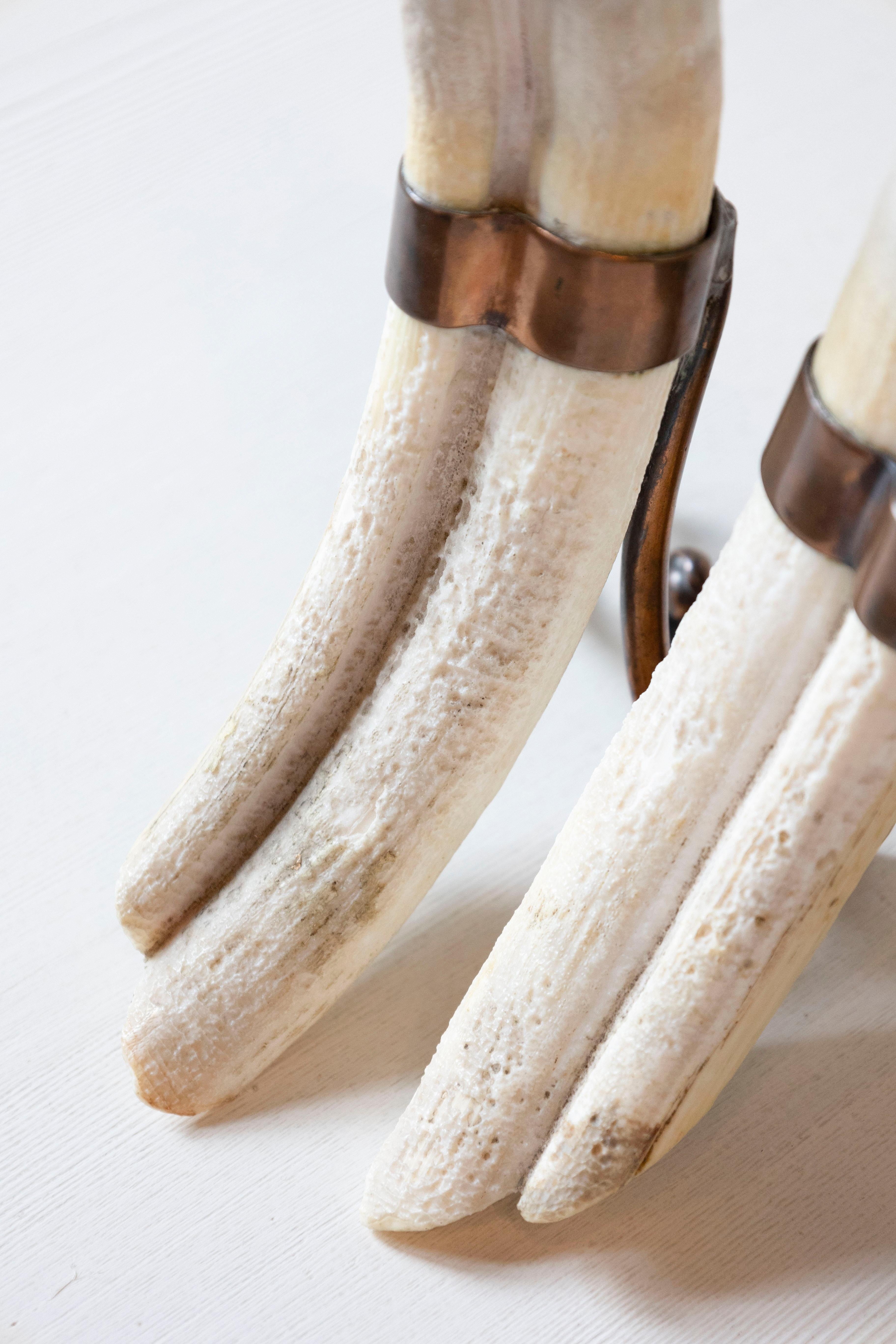 Metallo Rustic Pair of 19th Century Game Animal Horns Mounted on Scrolling Metal Stands in vendita