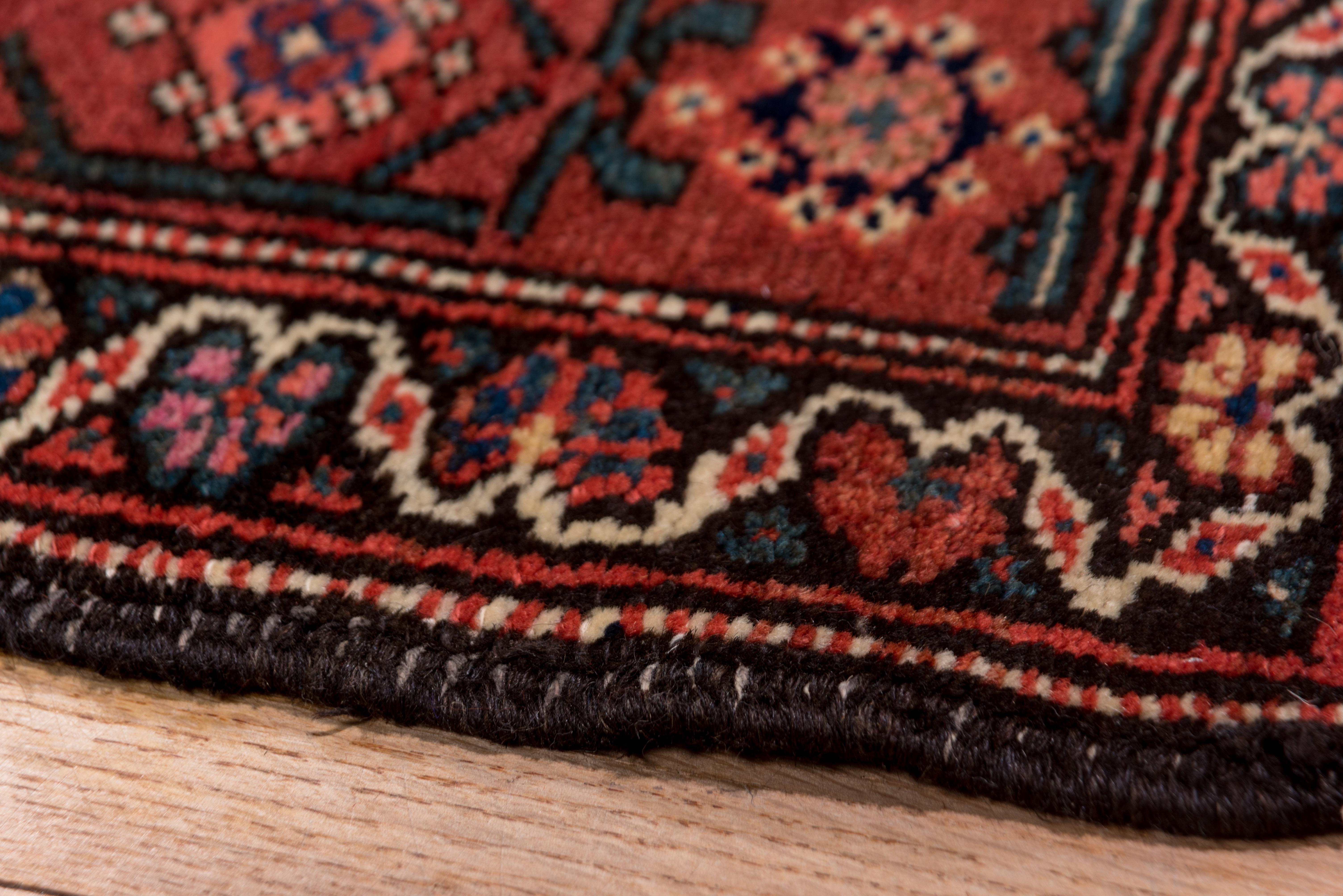 Malayer weavers love bottehs and the abrashed came-rust field displays row upon row upon offset and reversing row of floriated bottehs touched in navy, dark blue, cream and green. Red border with bracketed rosettes and slanted serrated leaves.