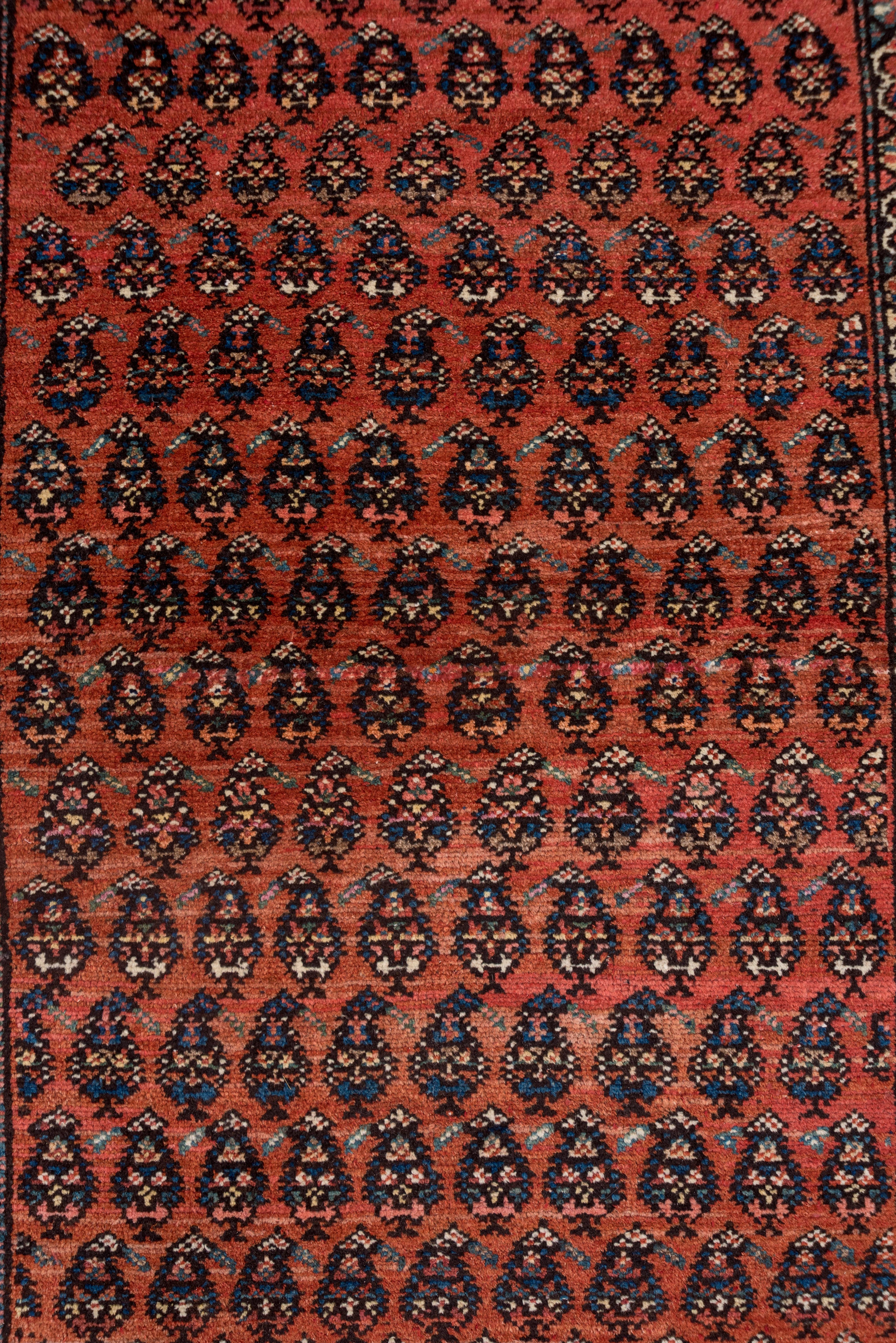 Early 20th Century Rustic Persian Malayer Wide Runner, Paisley Allover Field, circa 1920s For Sale
