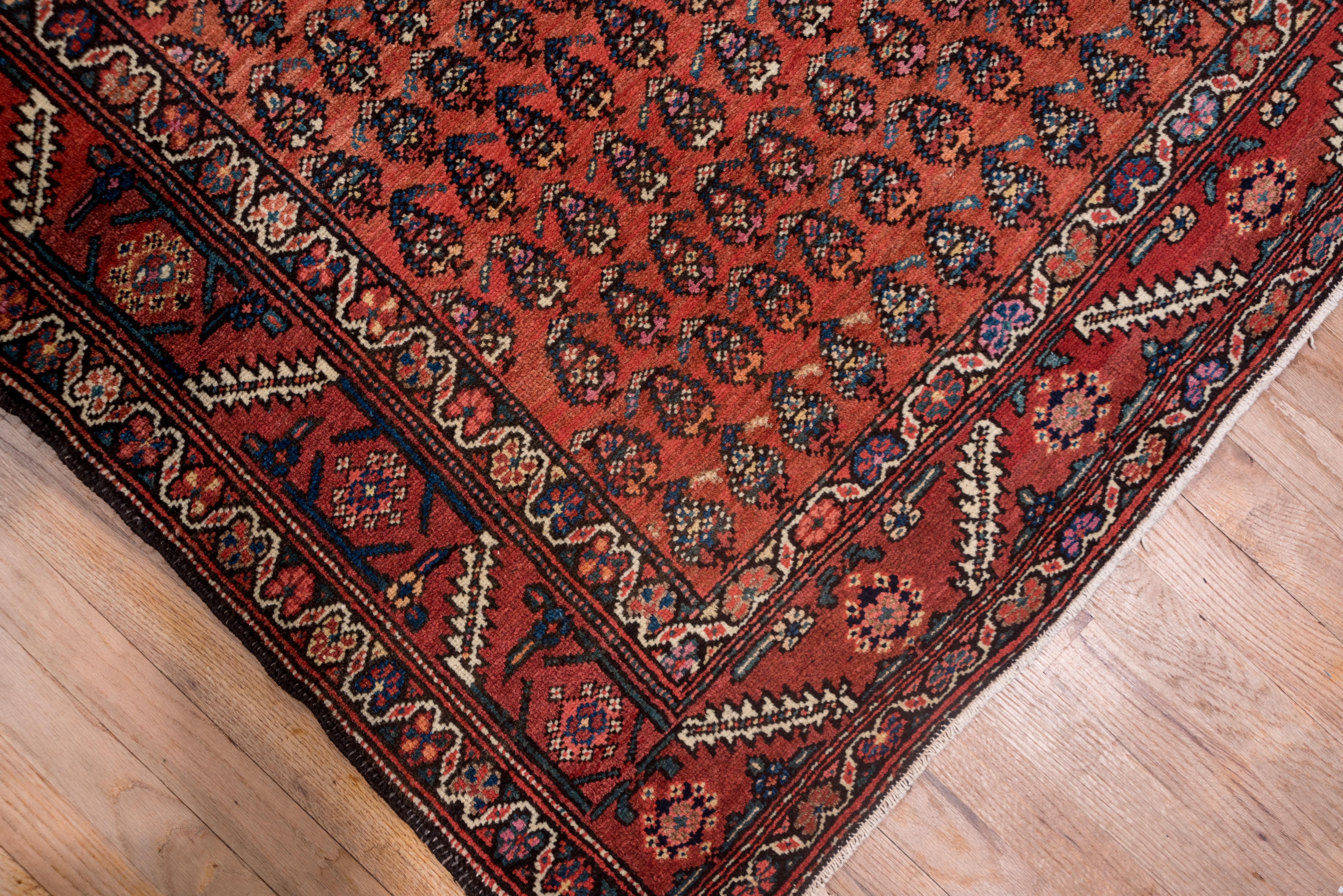 Wool Rustic Persian Malayer Wide Runner, Paisley Allover Field, circa 1920s For Sale