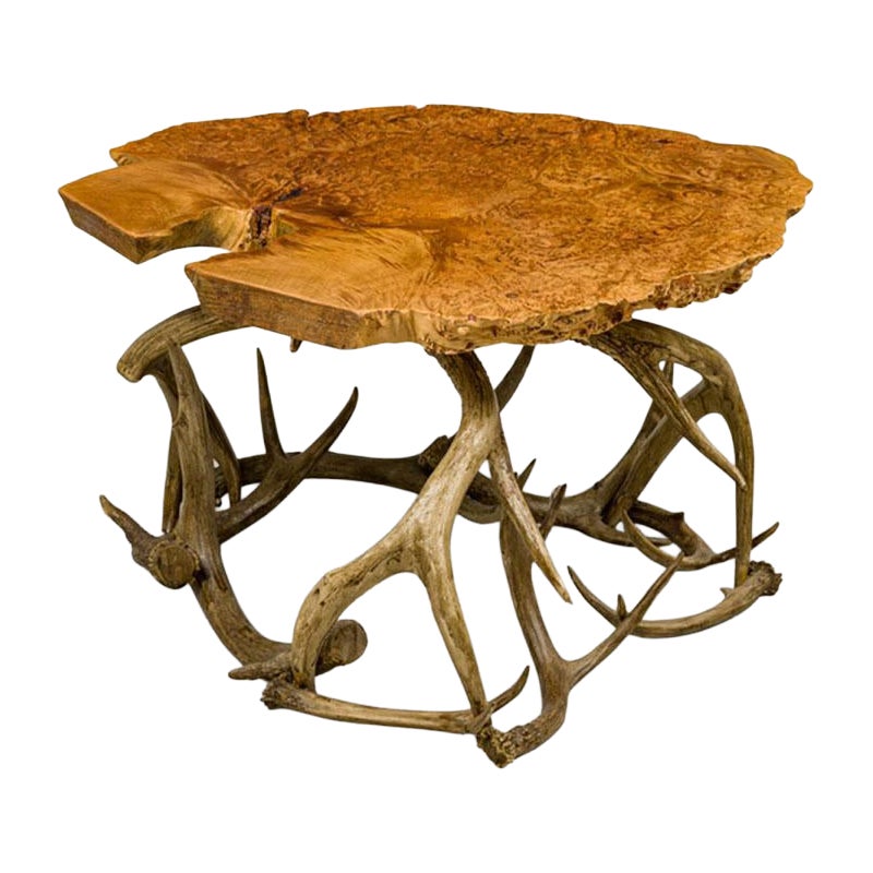 Rustic Petrified Wood and Deer Antler End / Side Table For Sale