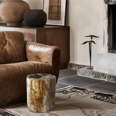 Rustic Petrified Wood End Table