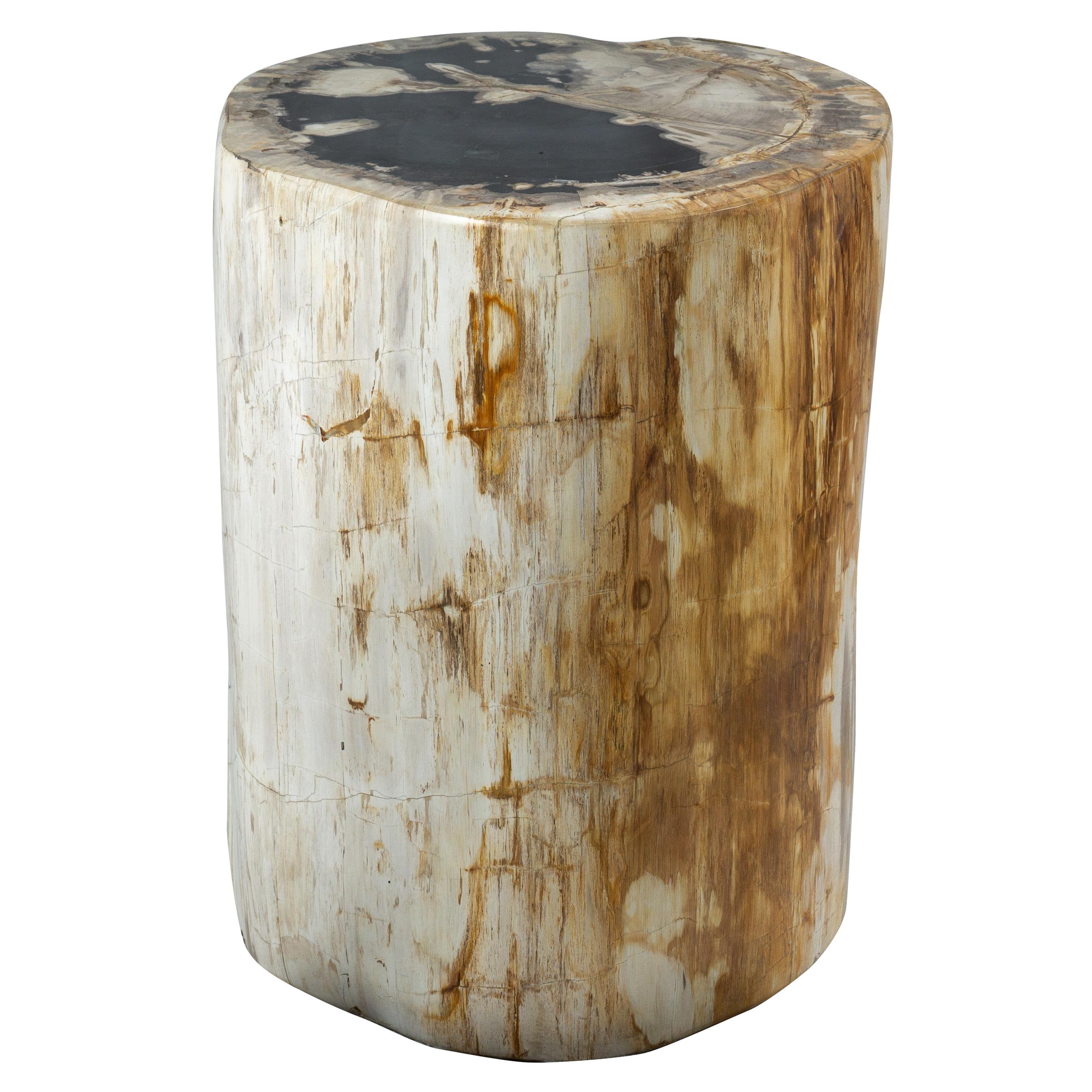 Organic Modern Rustic Petrified Wood End Table