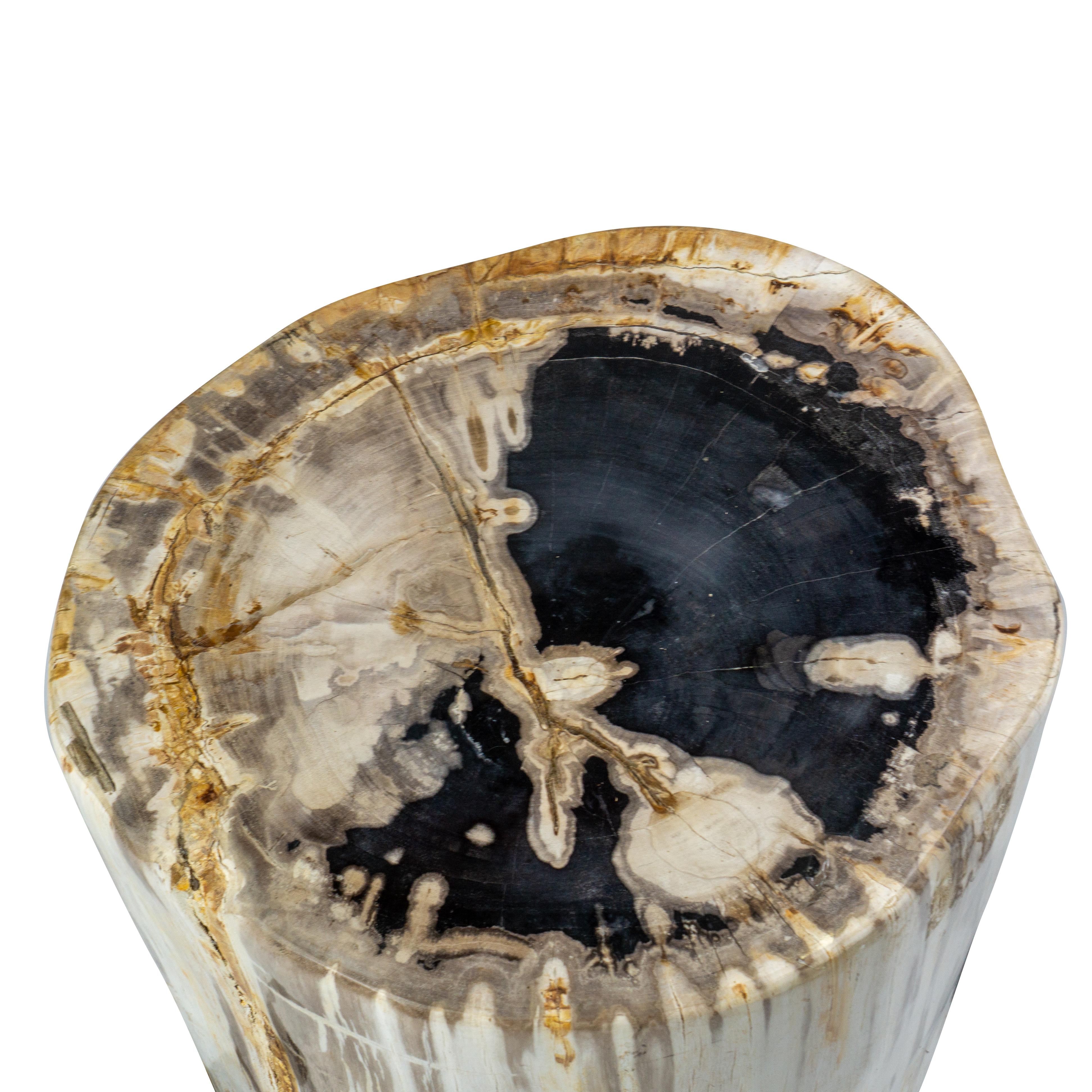 Indonesian Rustic Petrified Wood End Table