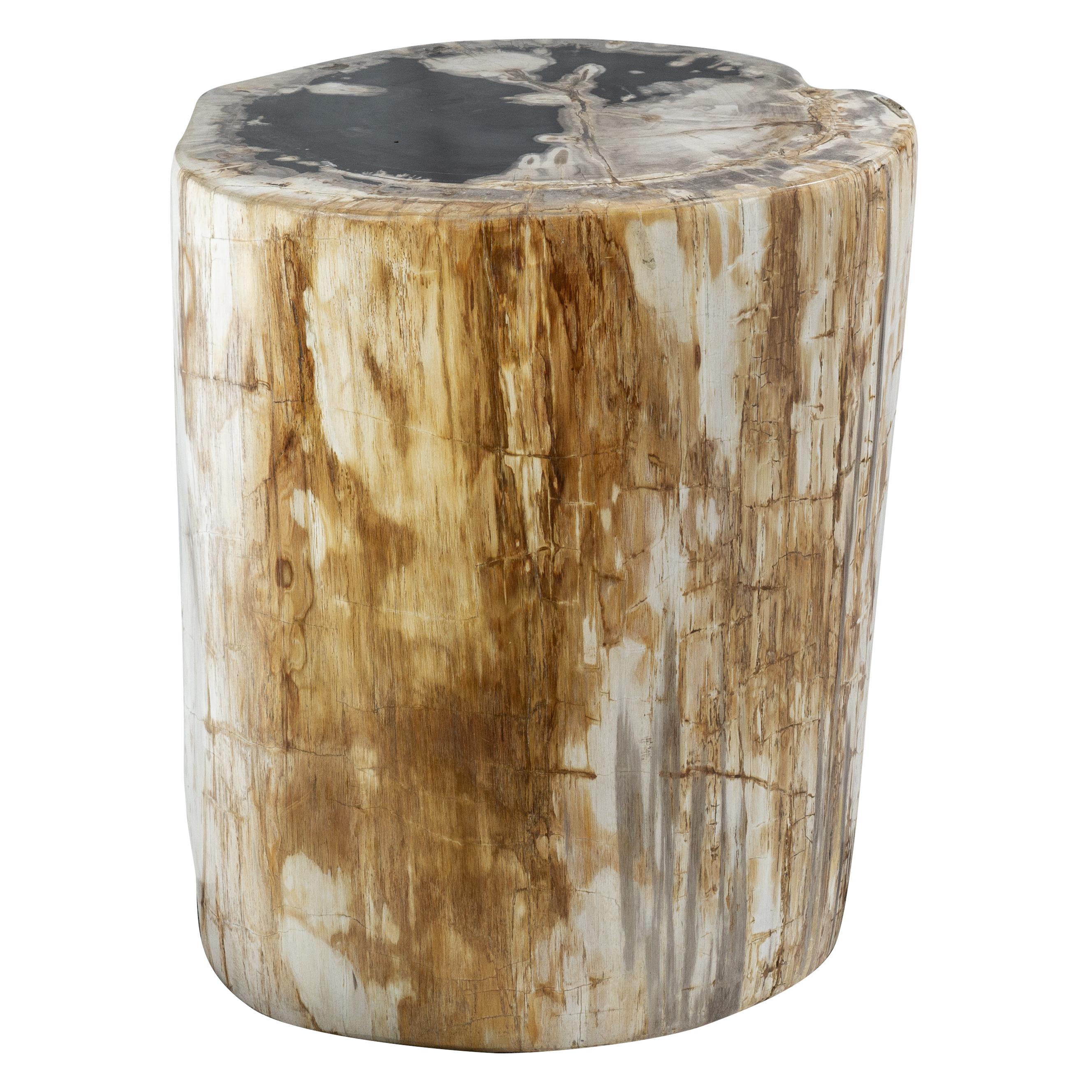 Polished Rustic Petrified Wood End Table