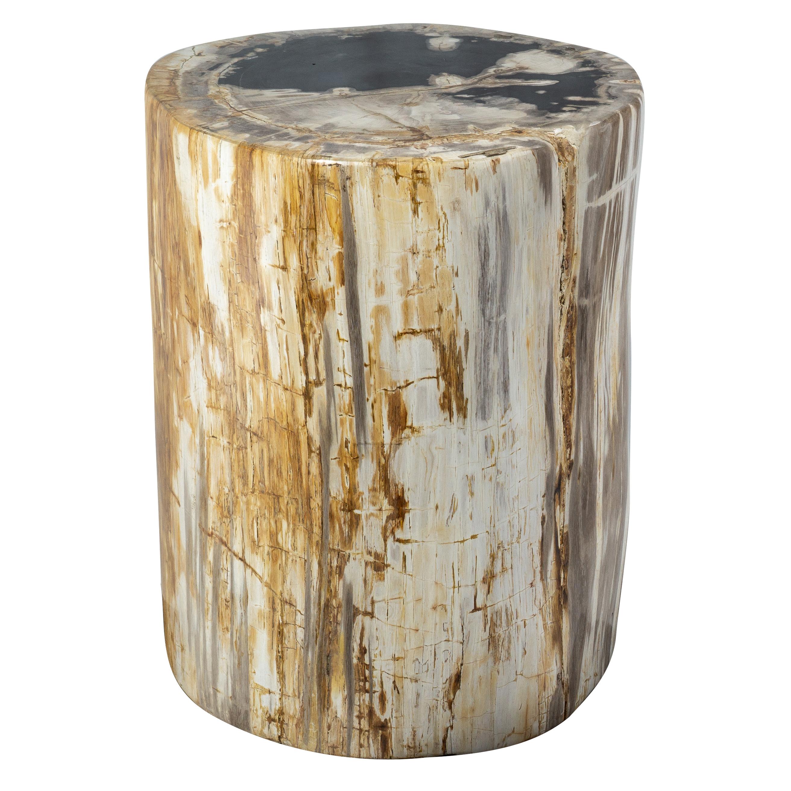 Rustic Petrified Wood End Table In Good Condition In Feasterville Trevose, PA