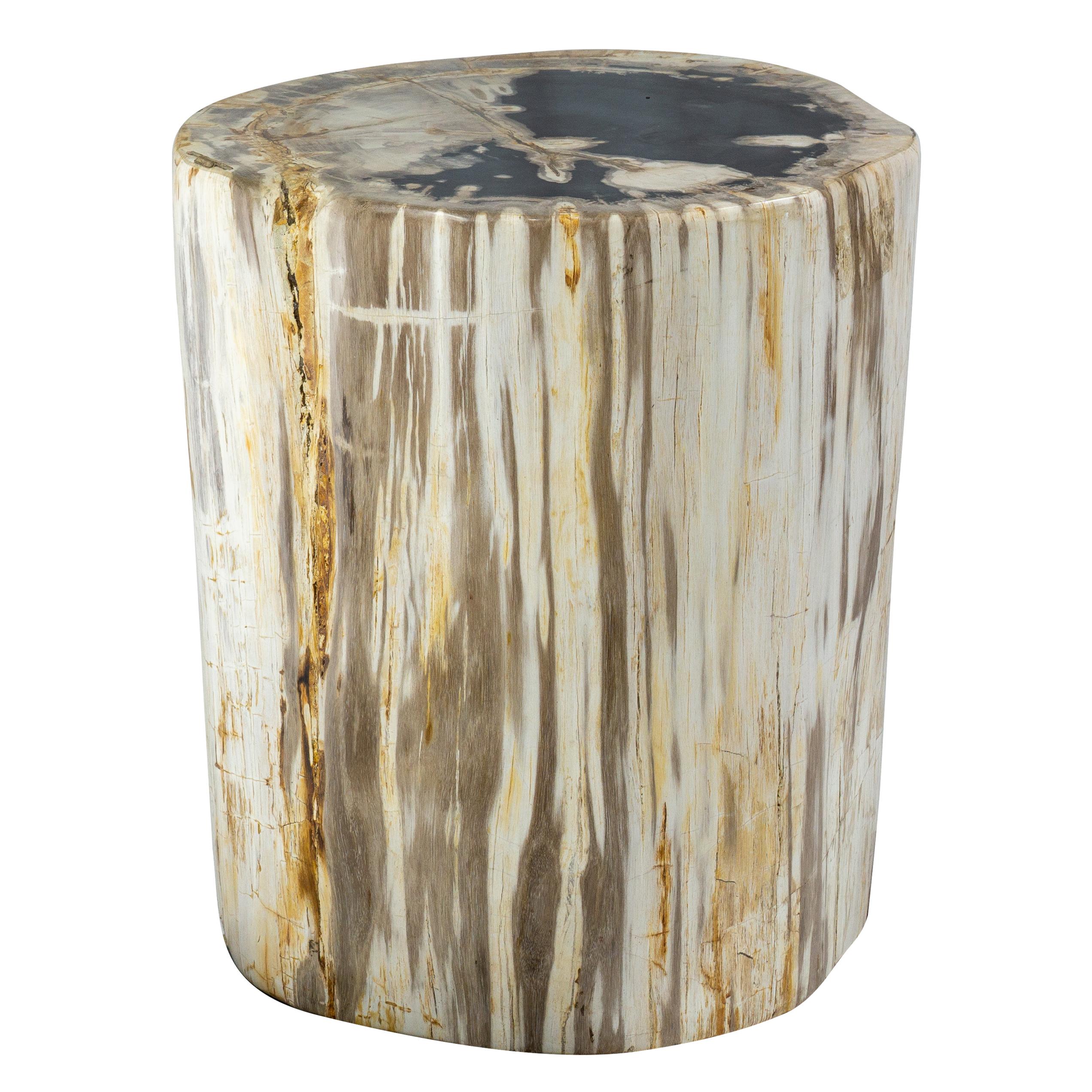 Contemporary Rustic Petrified Wood End Table