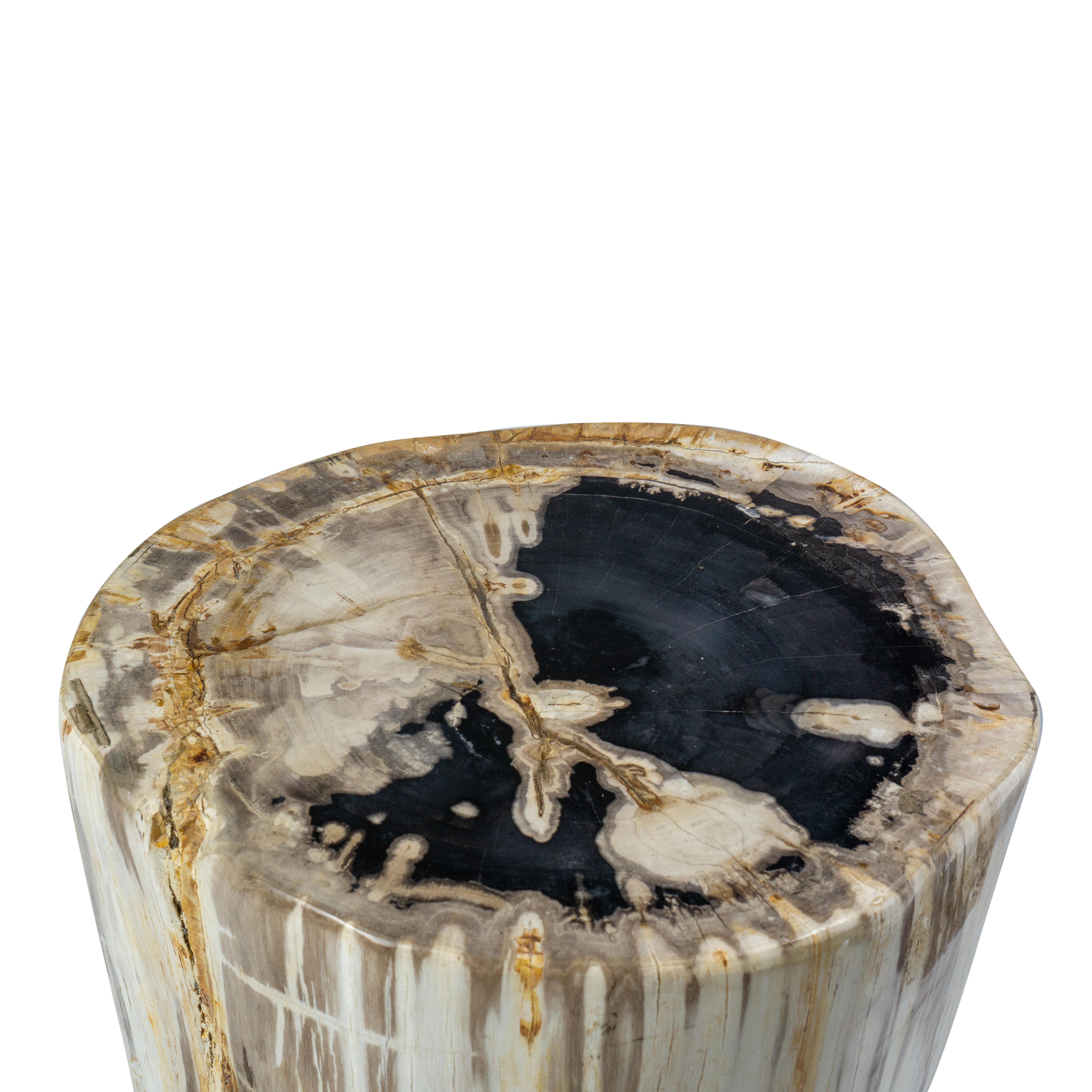 Rustic Petrified Wood End Table 1