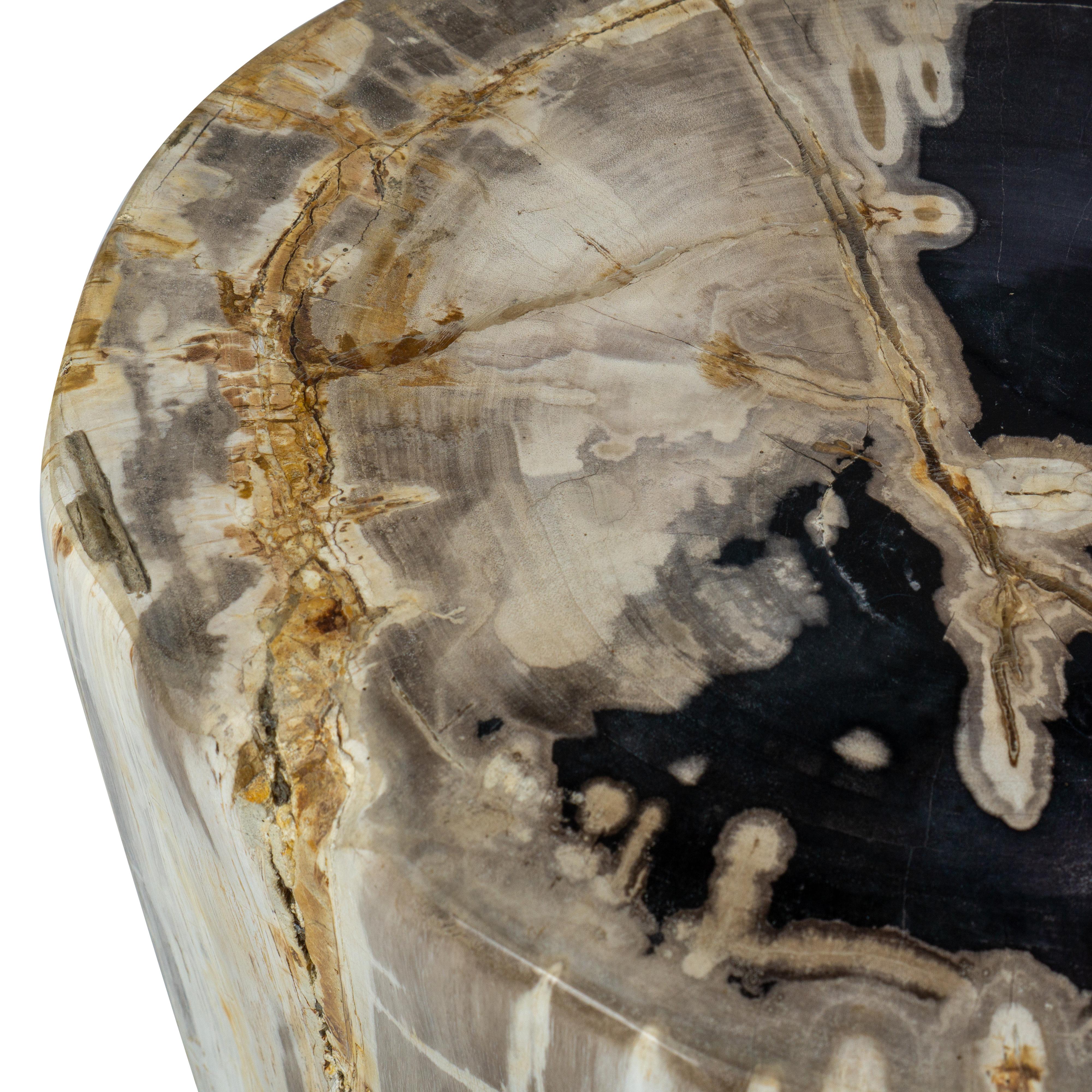 Rustic Petrified Wood End Table 2
