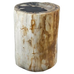 Rustic Petrified Wood End Table