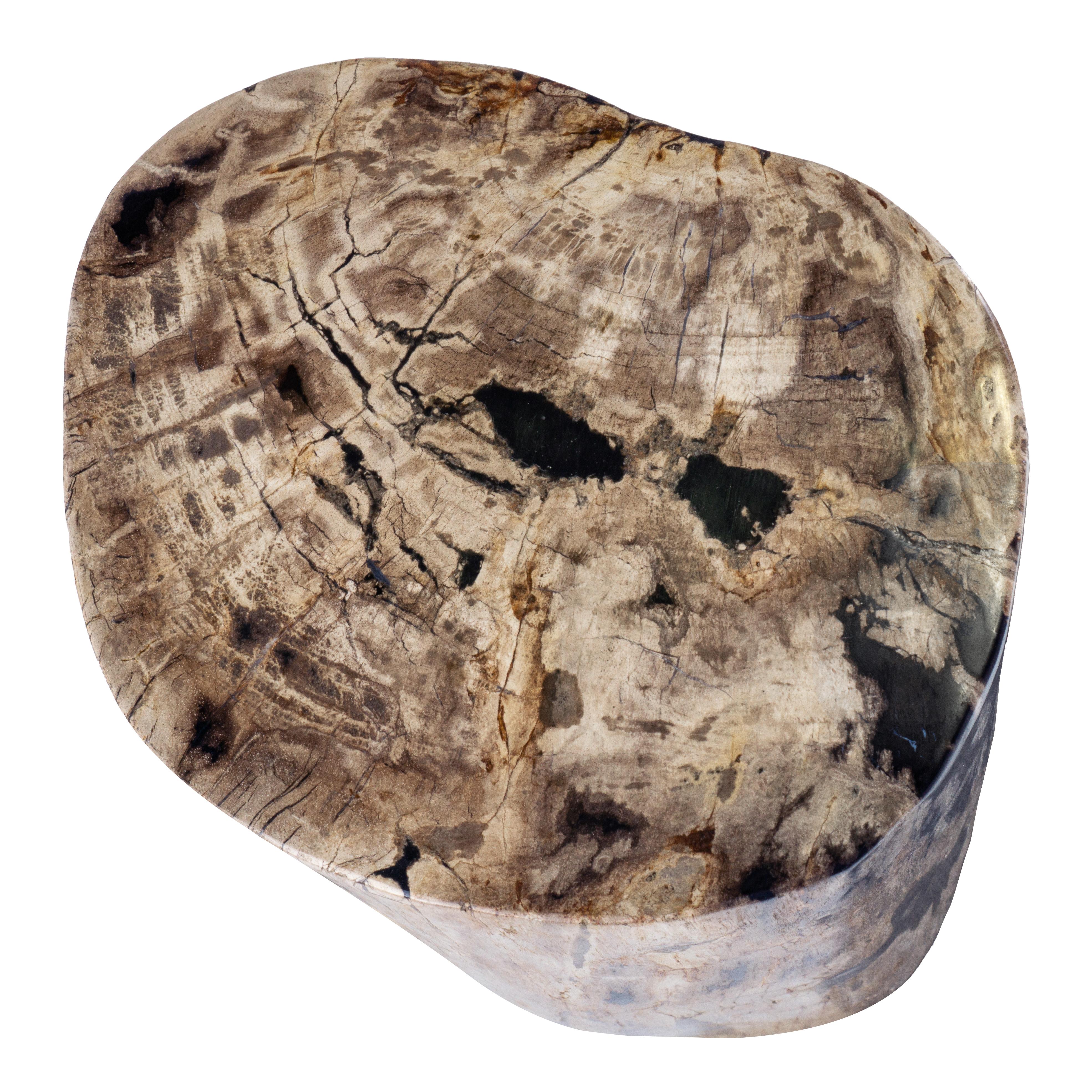 Organic Modern Rustic Petrified Wood Side Table