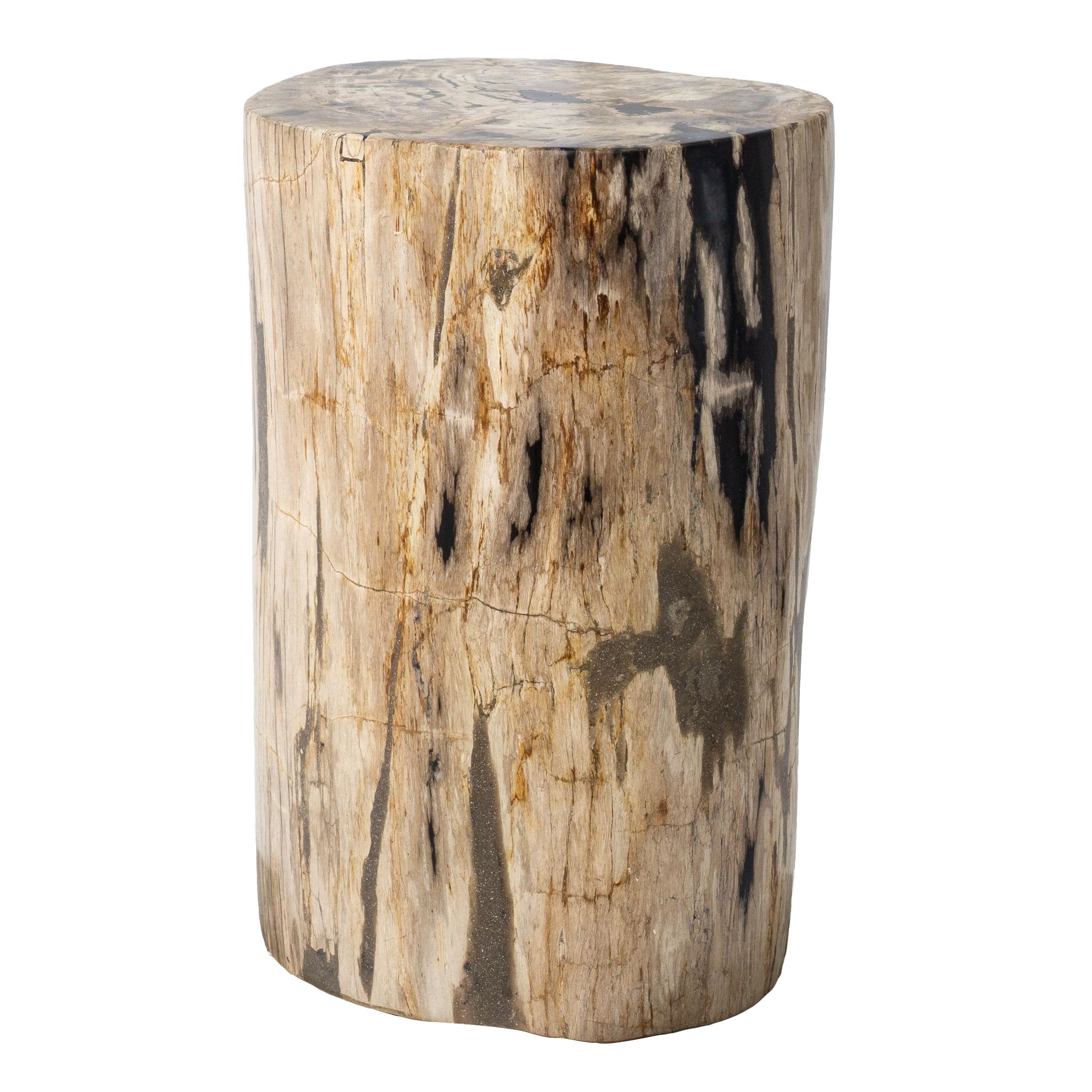 Indonesian Rustic Petrified Wood Side Table