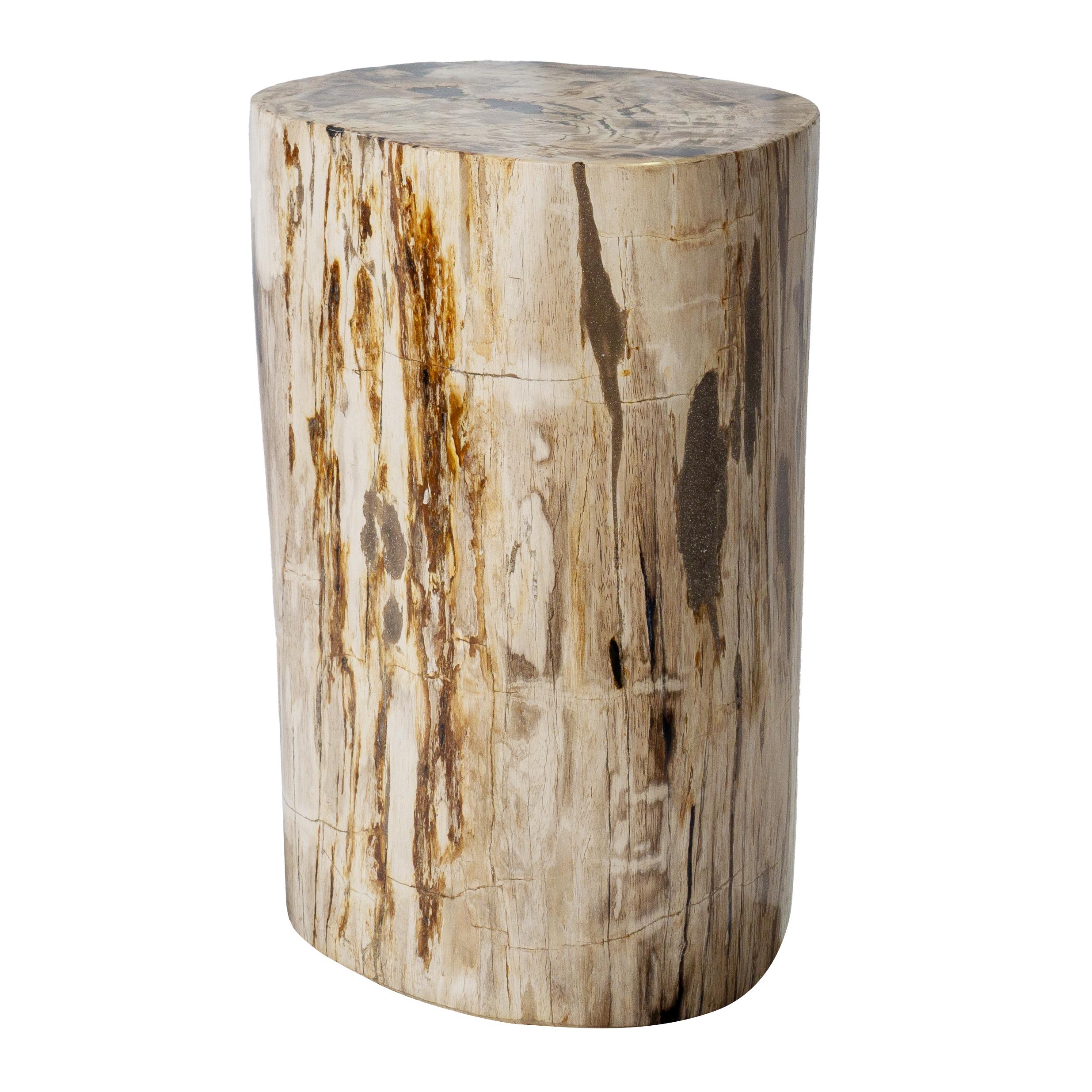 Contemporary Rustic Petrified Wood Side Table