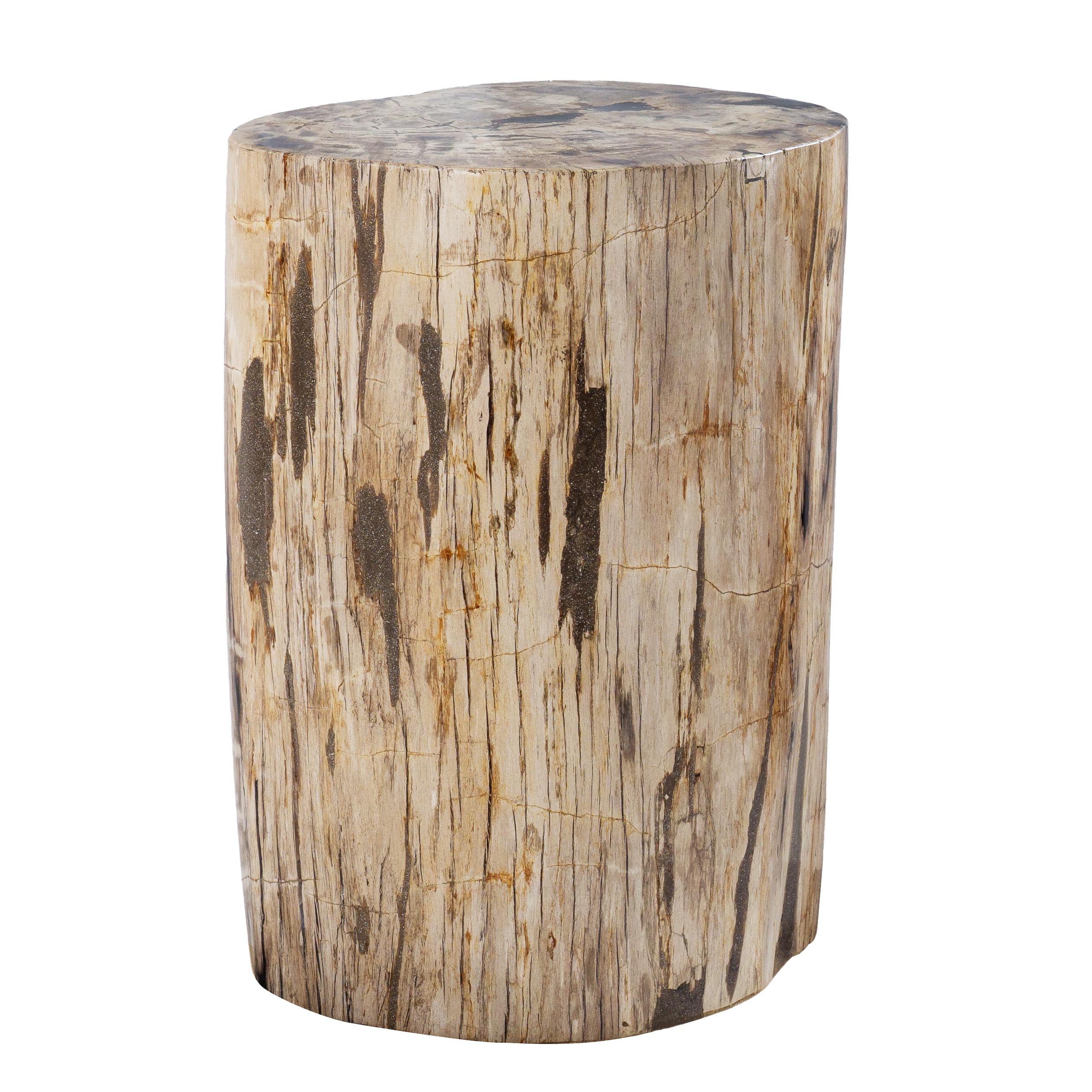 Rustic Petrified Wood Side Table 1