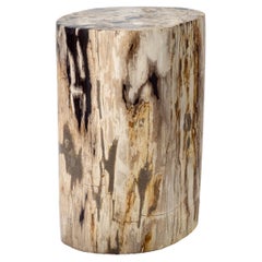 Rustic Petrified Wood Side Table