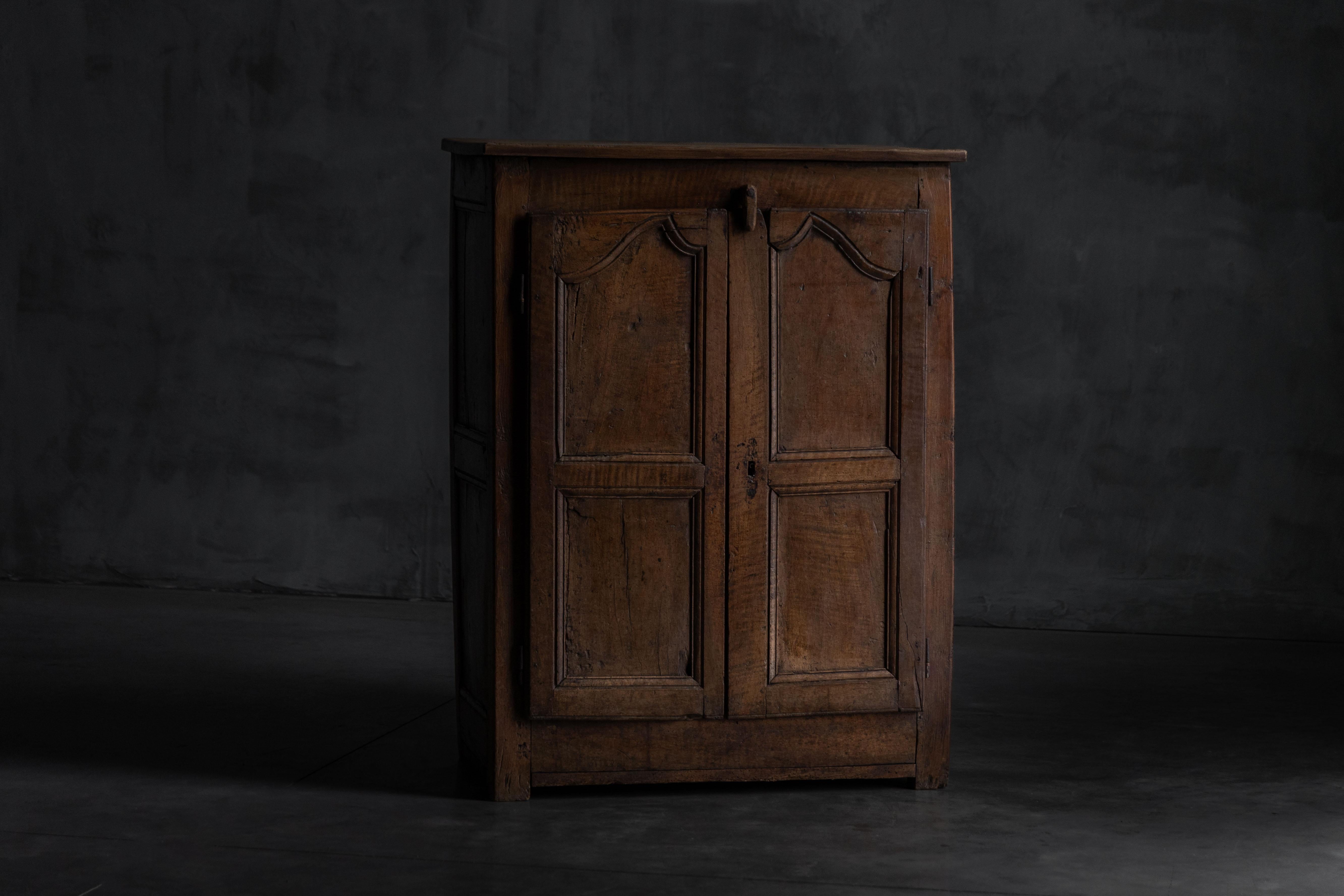 Legno Rustic Primitive Cabinet, France, 19th Century in vendita